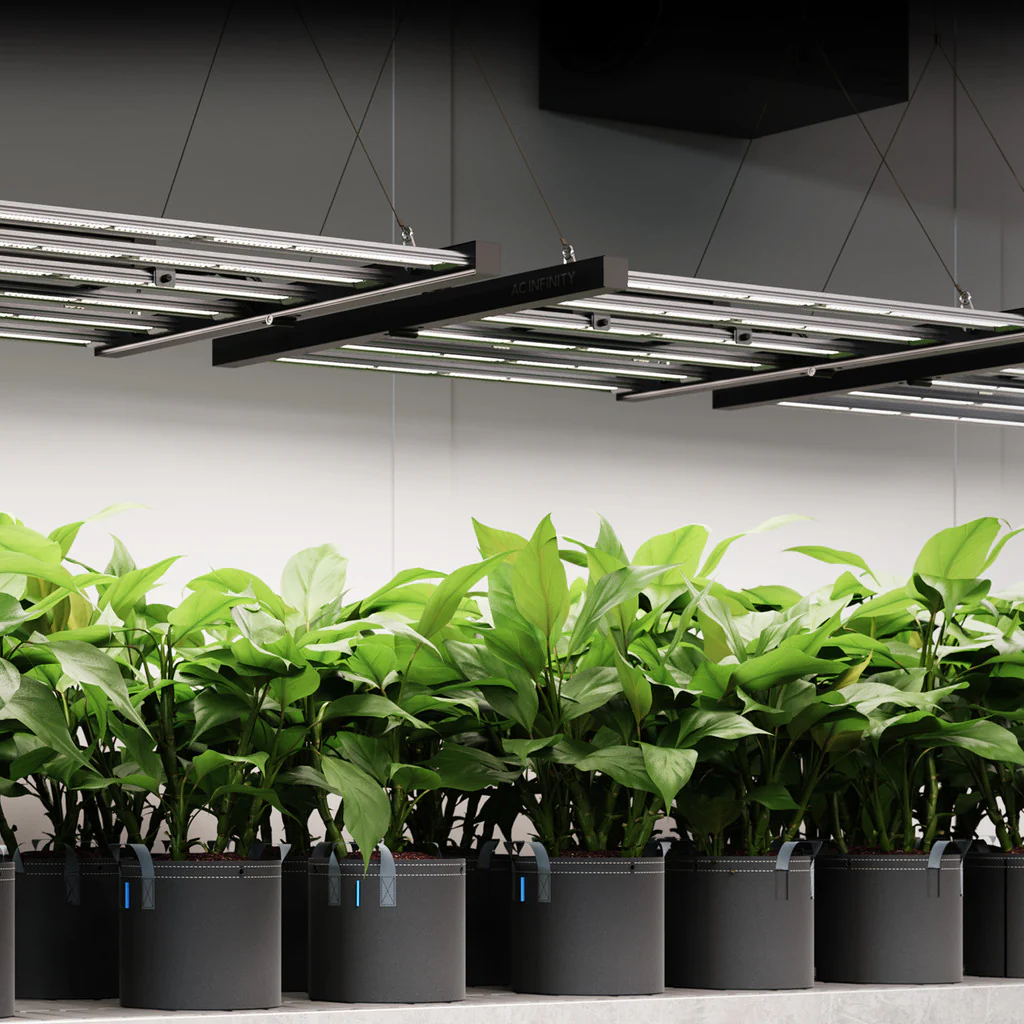 AC Infinity | IONFRAME EVO Series Full-Spectrum LED Grow Lights - Image 40