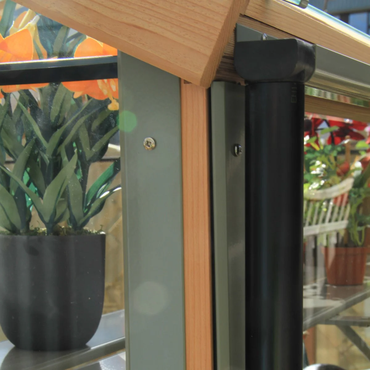 Alton | Cambridge Porch Victorian Half Board Cedar Orangery Greenhouse With 3mm Tempered Glass Glazing - 9 ft. 10 in. Wide - Image 17