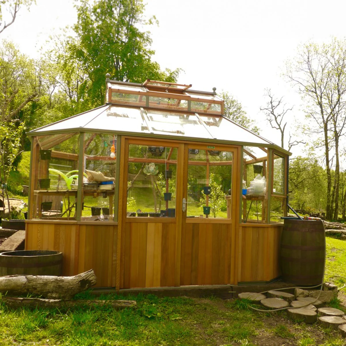 Alton | Octagonal Half Board Cedar Greenhouse With 3mm Tempered Glass Glazing - Image 19