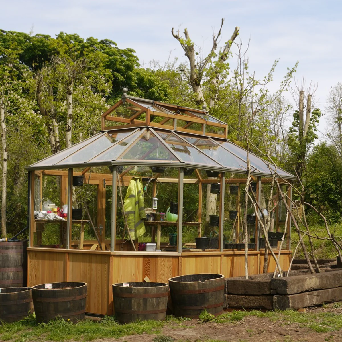 Alton | Octagonal Half Board Cedar Greenhouse With 3mm Tempered Glass Glazing - Image 20