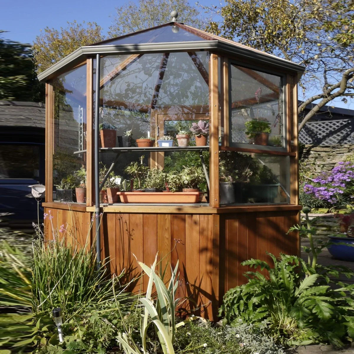 Alton | Octagonal Half Board Cedar Greenhouse With 3mm Tempered Glass Glazing - Image 47