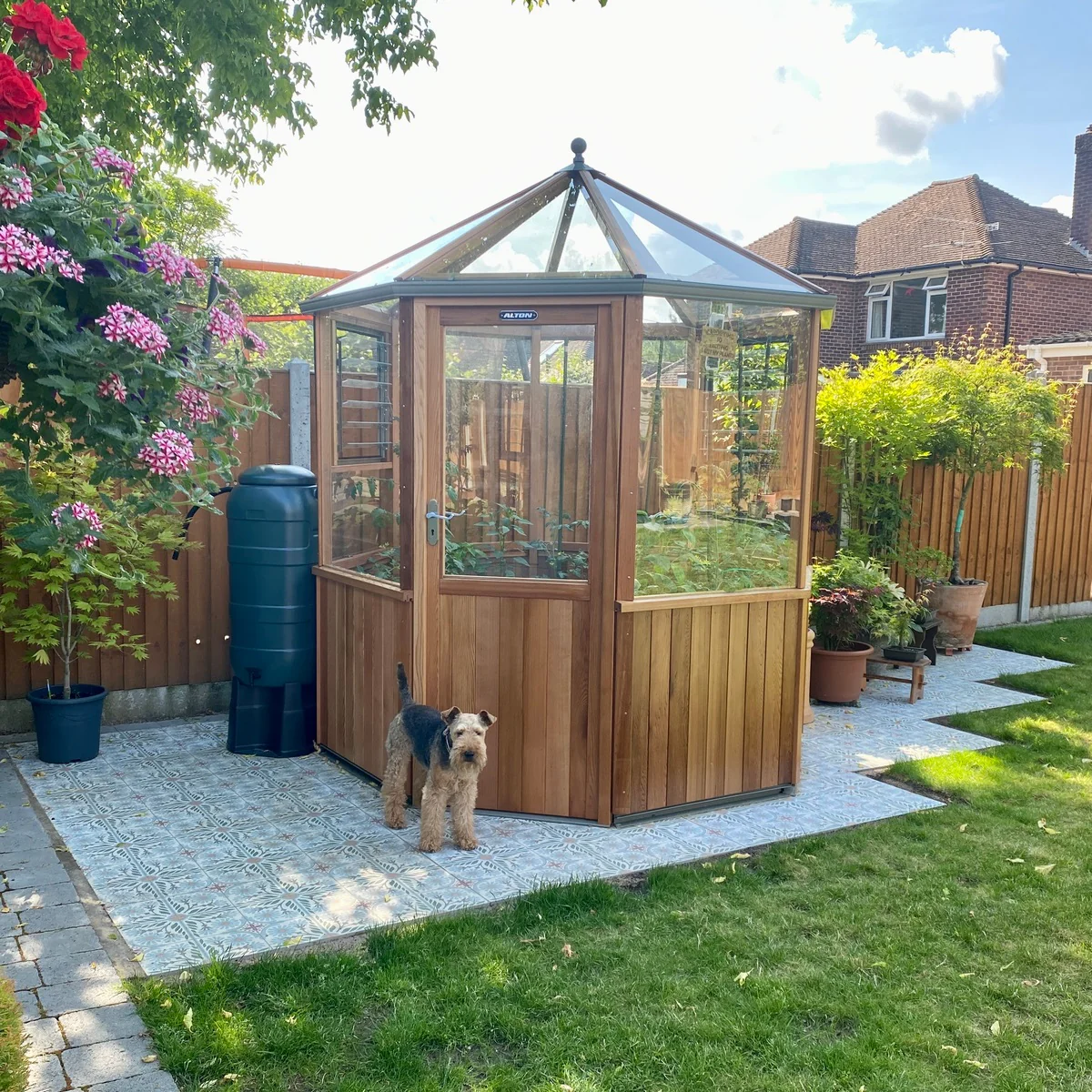 Alton | Octagonal Half Board Cedar Greenhouse With 3mm Tempered Glass Glazing - Image 51