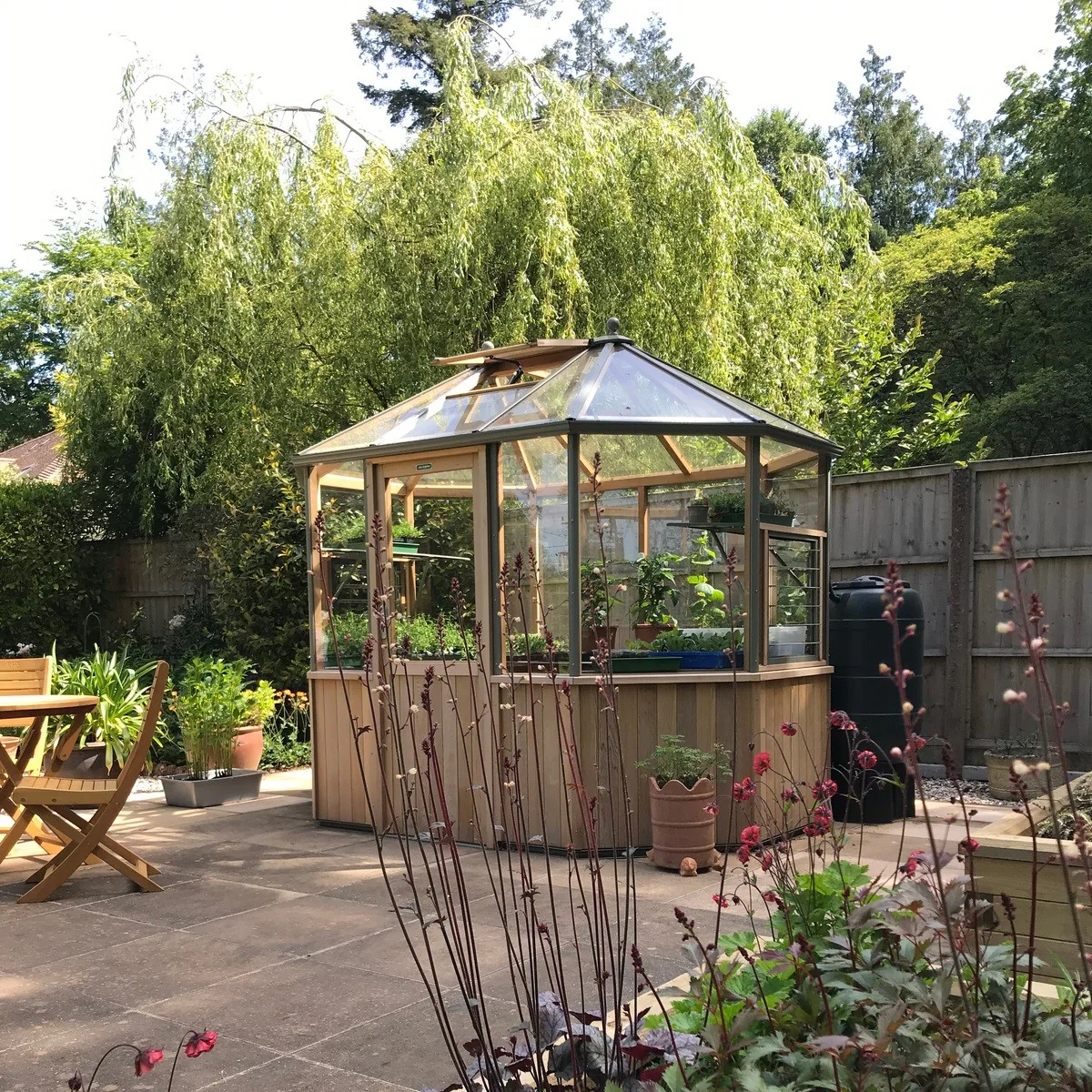 Alton | Octagonal Half Board Cedar Greenhouse With 3mm Tempered Glass Glazing - Image 53