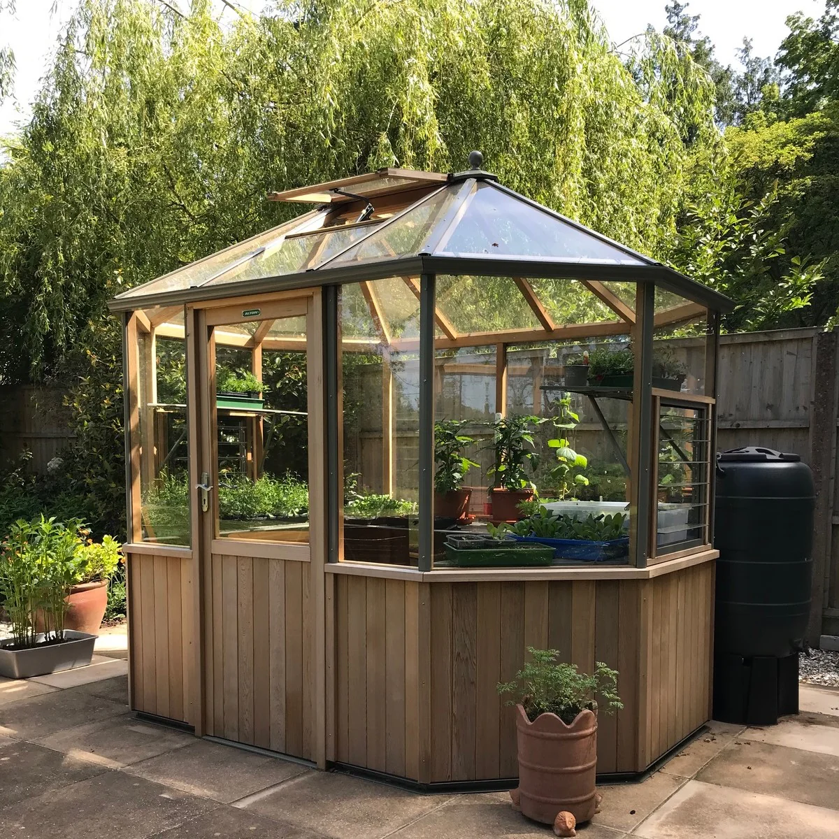 Alton | Octagonal Half Board Cedar Greenhouse With 3mm Tempered Glass Glazing - Image 54