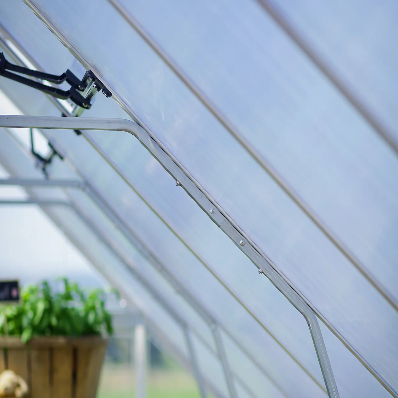 Palram - Canopia | Balance Greenhouse Kit With Clear 0.8mm Polycarbonate Glazing - Image 23
