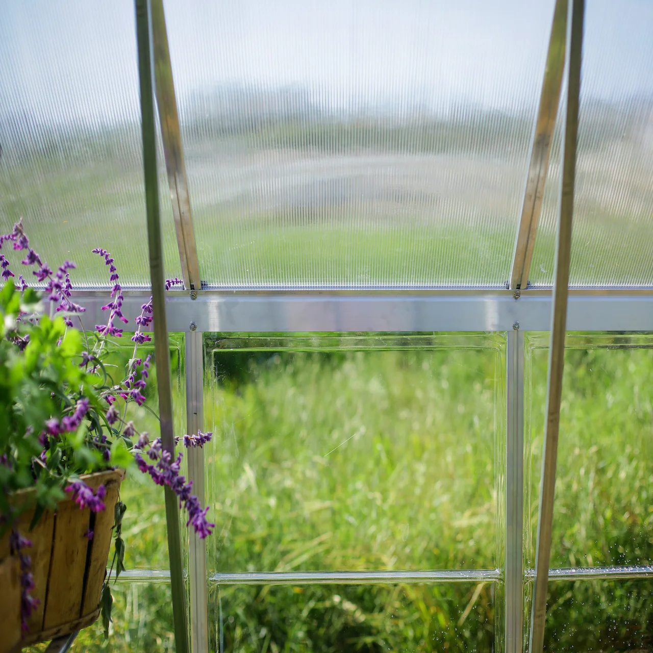 Palram - Canopia | Balance Greenhouse Kit With Clear 0.8mm Polycarbonate Glazing - Image 25