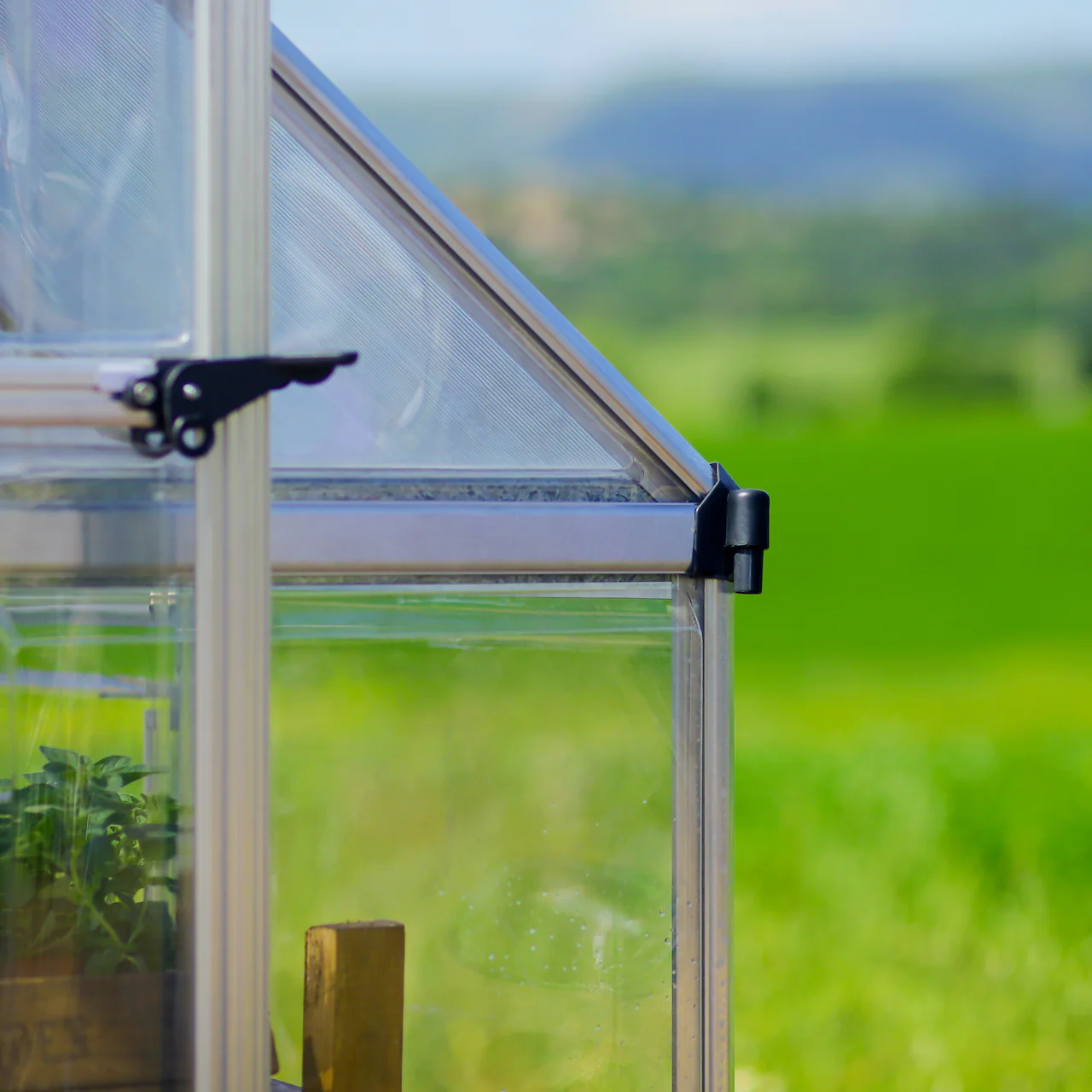 Palram - Canopia | Balance Greenhouse Kit With Clear 0.8mm Polycarbonate Glazing - Image 27