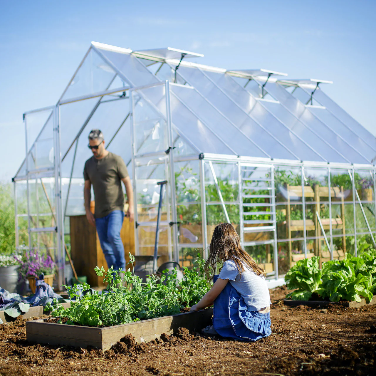 Palram - Canopia | Balance Greenhouse Kit With Clear 0.8mm Polycarbonate Glazing - Image 40