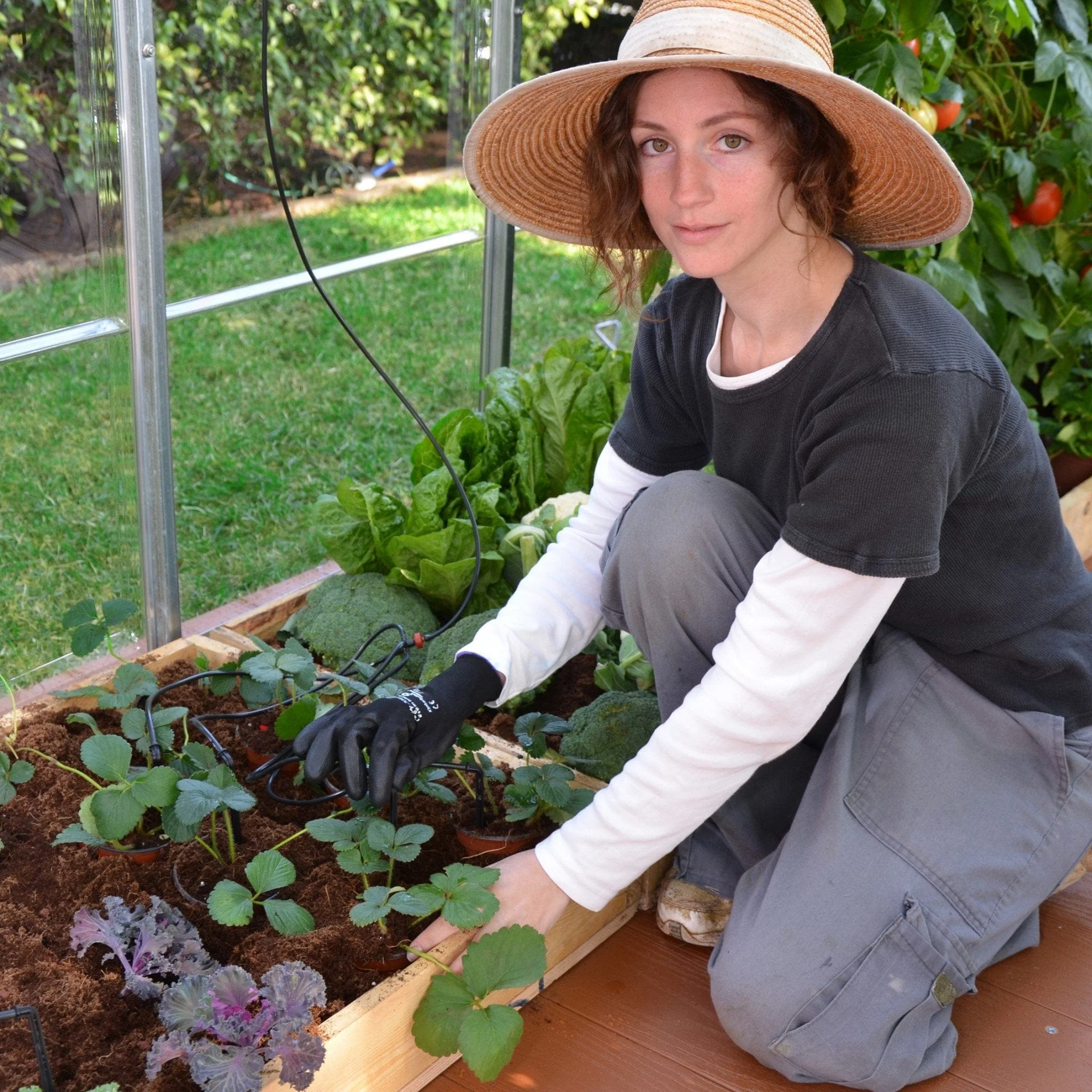 Palram - Canopia | Drip Irrigation Kit - Image 2