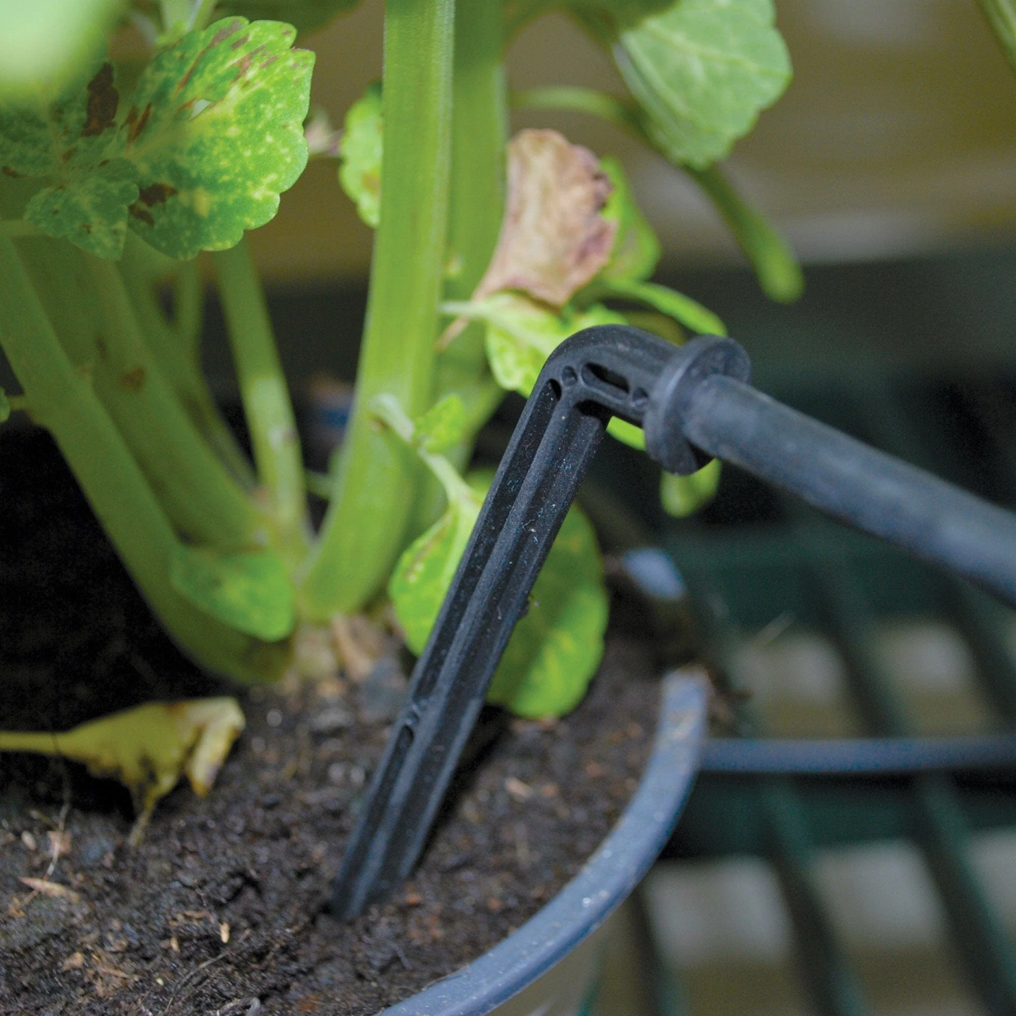 Palram - Canopia | Drip Irrigation Kit - Image 6