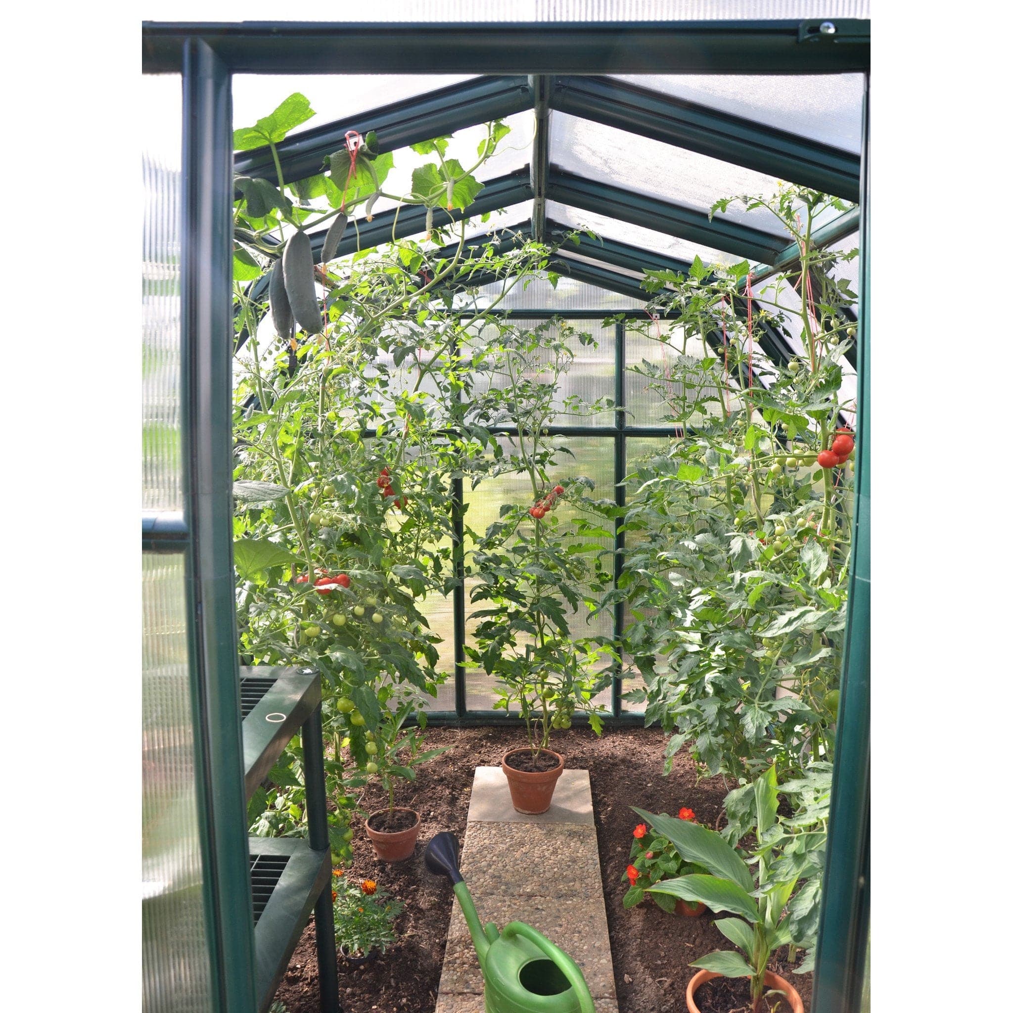 Palram - Canopia | EcoGrow Greenhouse Kit - 6 ft Wide - Green With 6mm Twin-wall Polycarbonate Glazing - Image 18