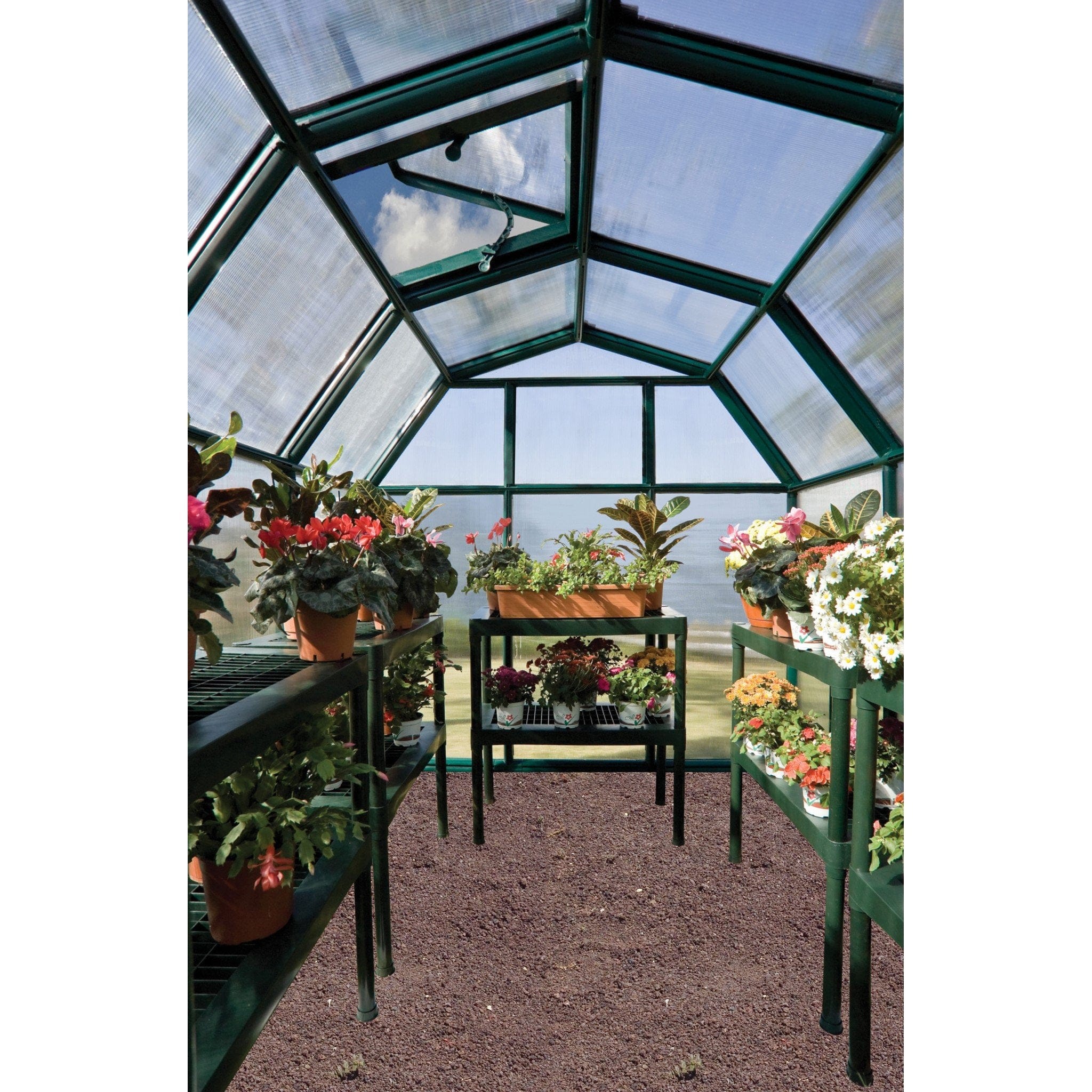 Palram - Canopia | EcoGrow Greenhouse Kit - 6 ft Wide - Green With 6mm Twin-wall Polycarbonate Glazing - Image 22