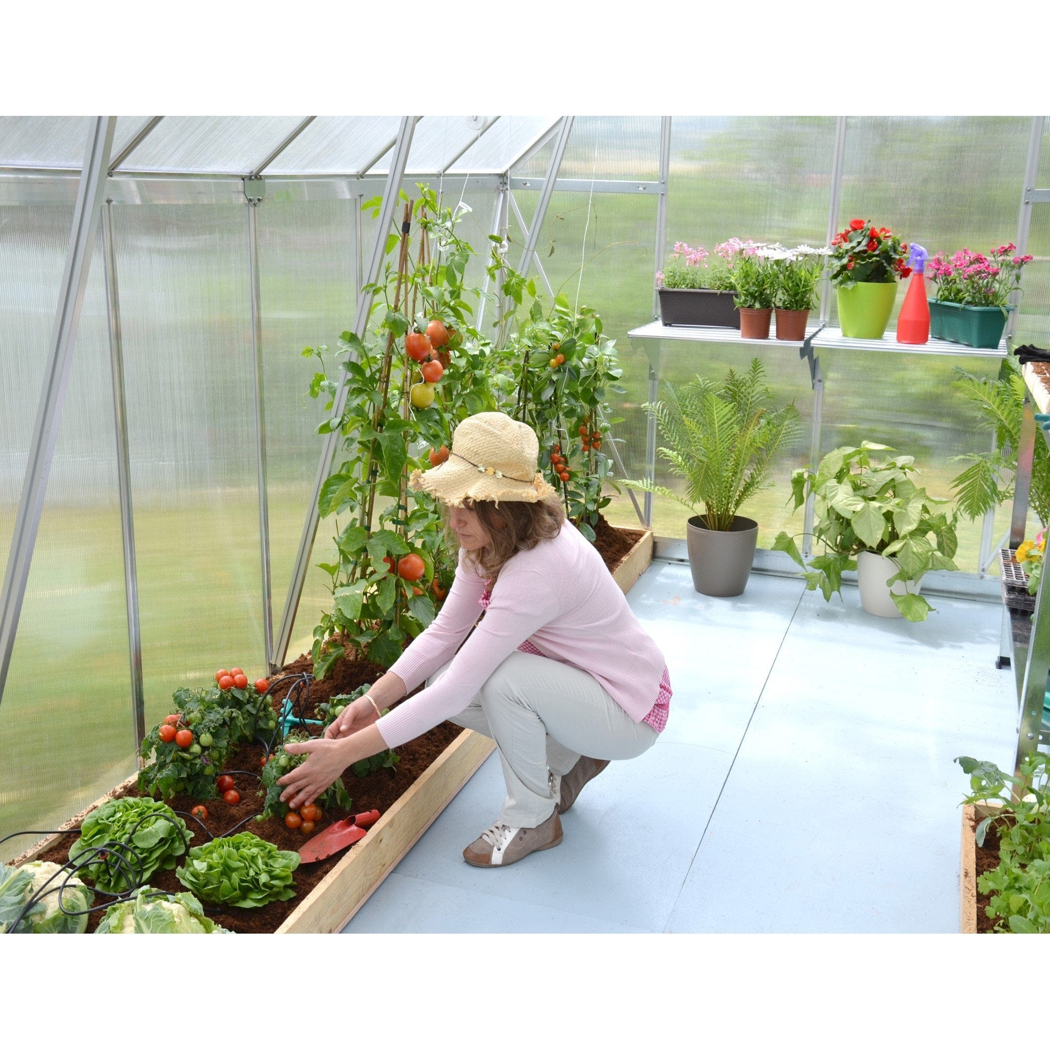 Palram - Canopia | Essence Greenhouse Kit - Silver With 4mm Twin-wall Polycarbonate Glazing - Image 6