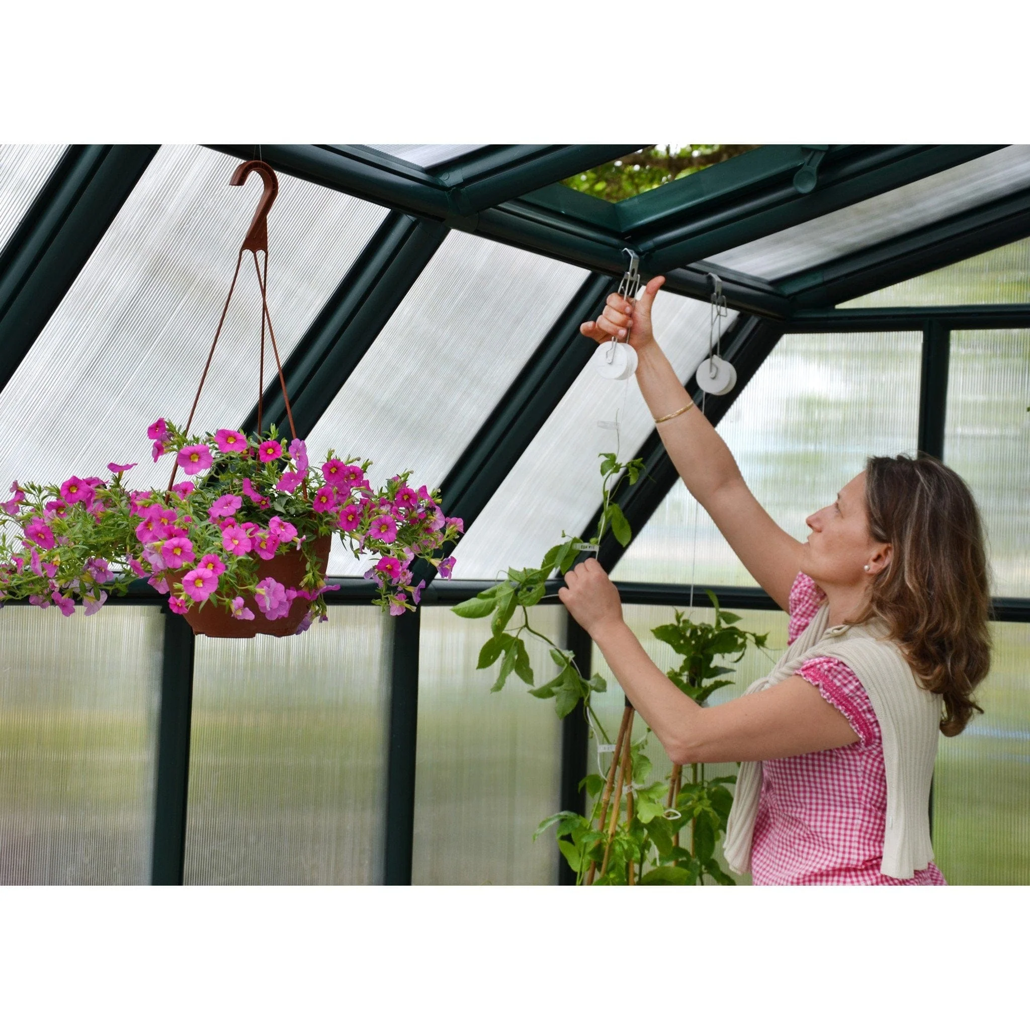 Palram - Canopia | Hobby Gardener Greenhouse Kit - 8 ft Wide - Green With 6mm Twin-wall Polycarbonate Glazing - Image 4