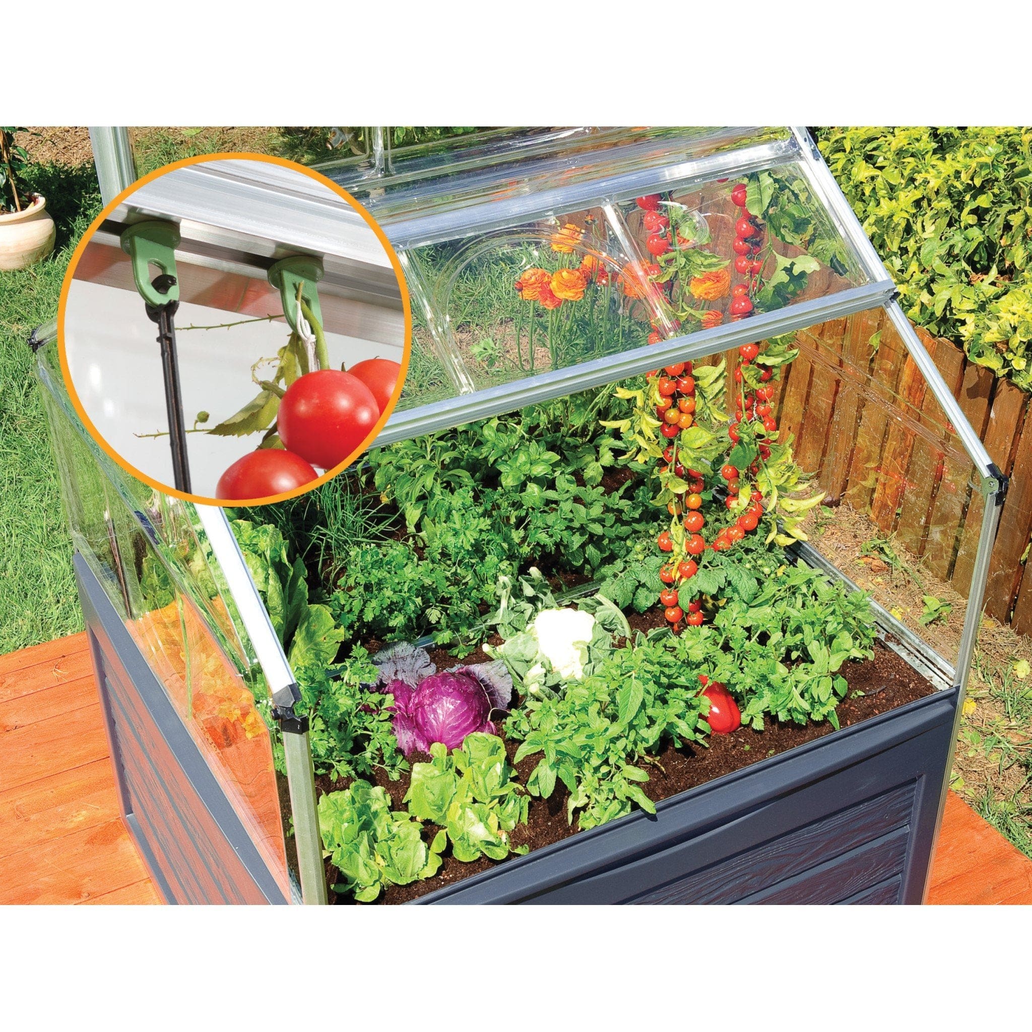 Palram - Canopia | Plant Inn™ - Image 7
