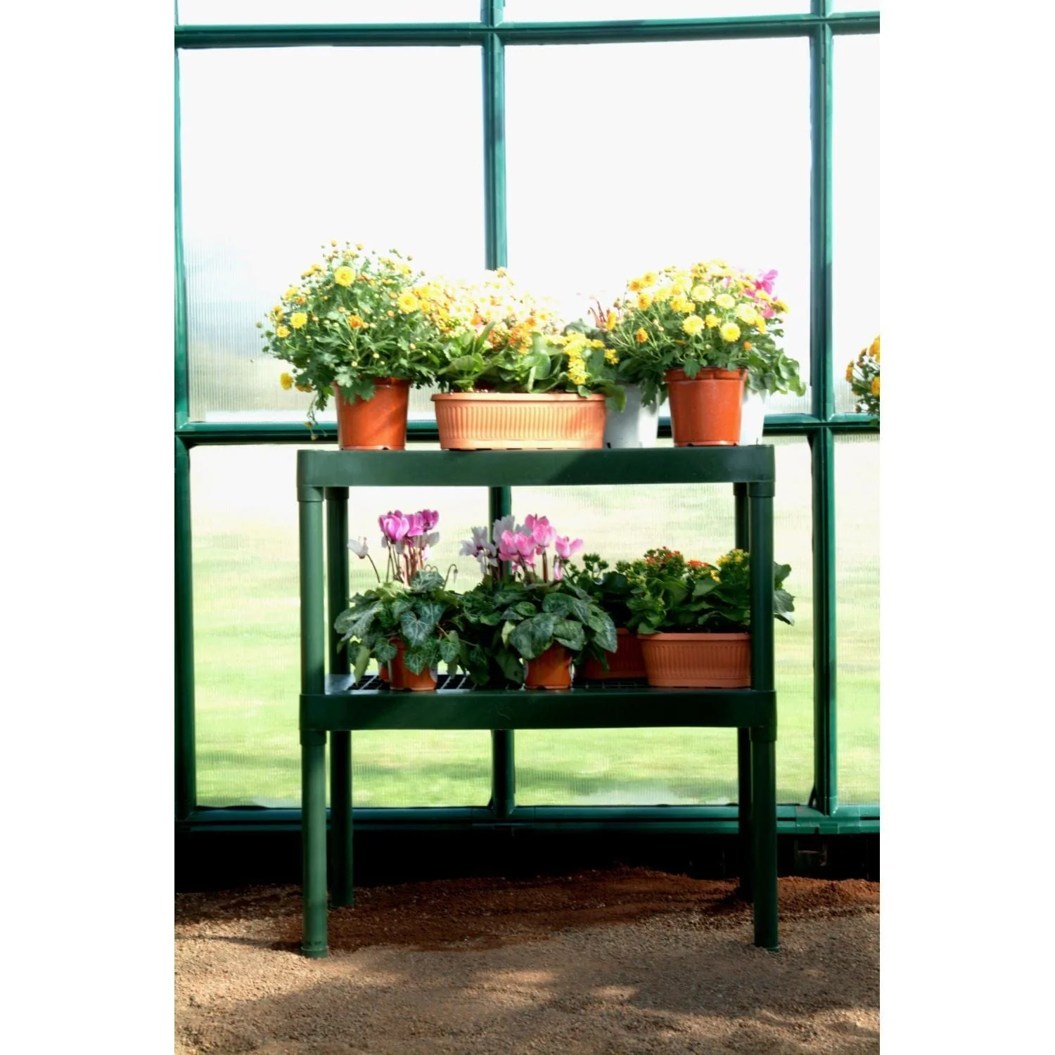 Palram - Canopia | 8x8 ft Prestige Diffused Greenhouse Kit Package - Green With 6mm Twin-wall Polycarbonate Glazing - Image 9