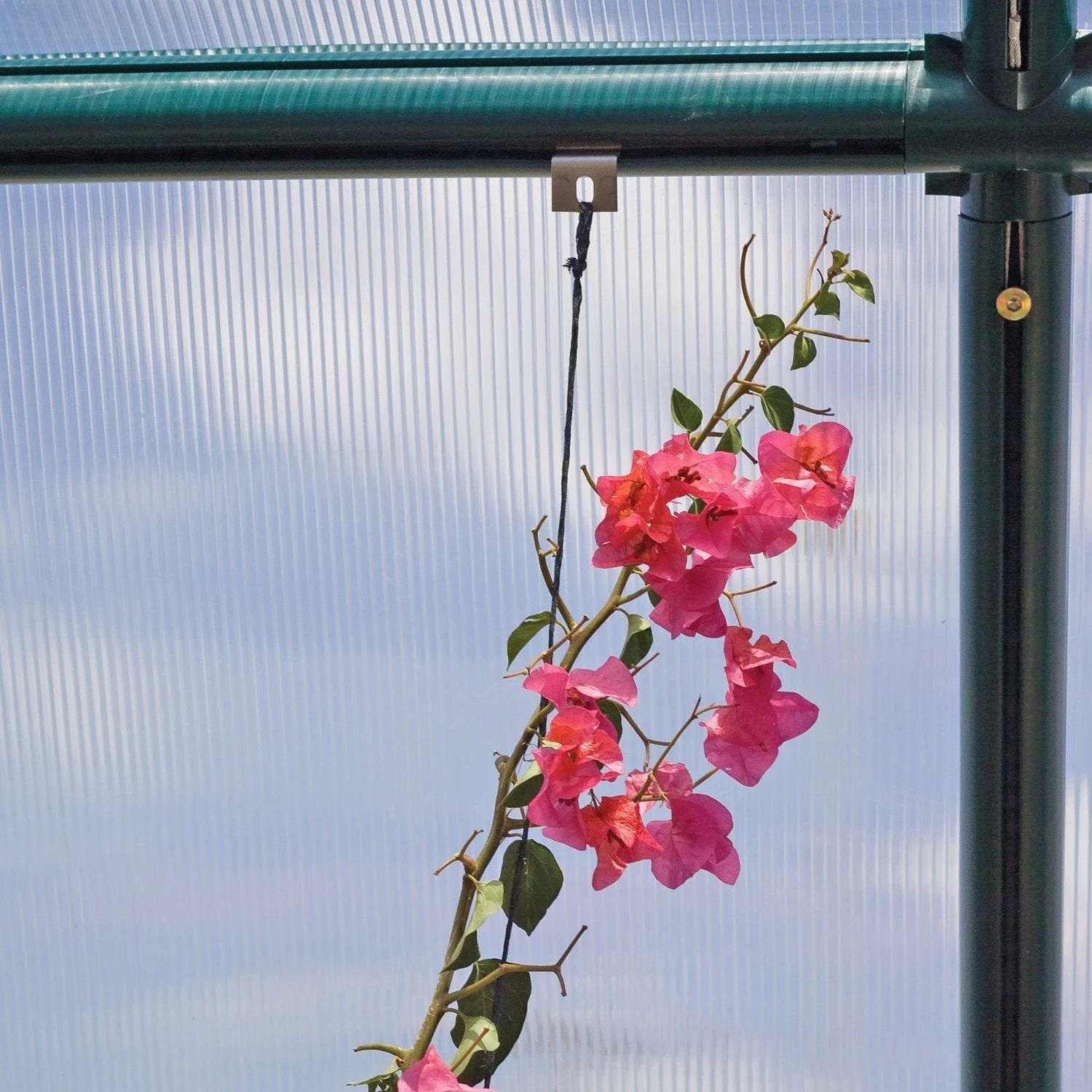 Palram - Canopia | Hanging & Anchoring Greenhouse Kit - Image 3