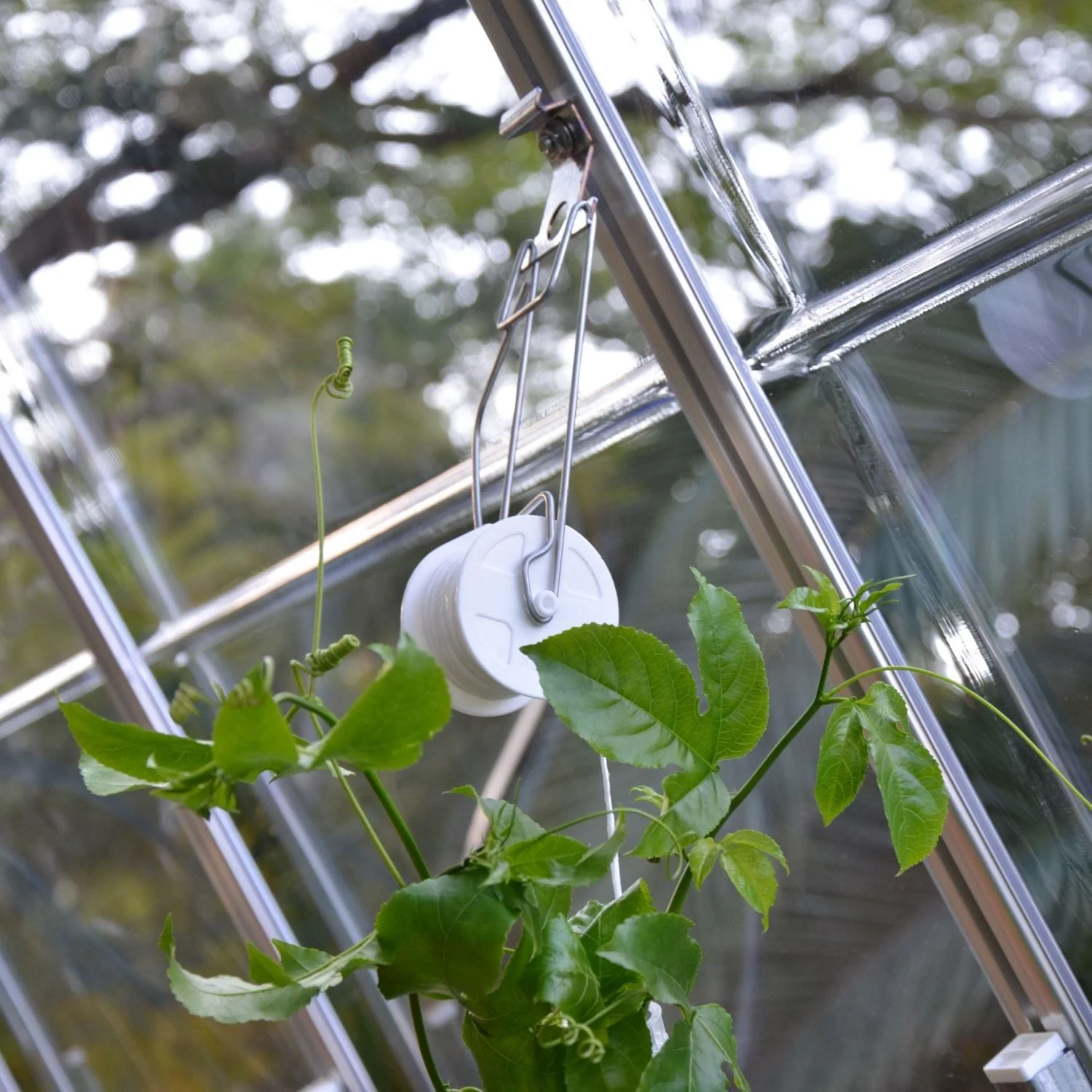 Palram - Canopia | Trellising Kit Pro for Palram - Canopia Greenhouses - Image 3