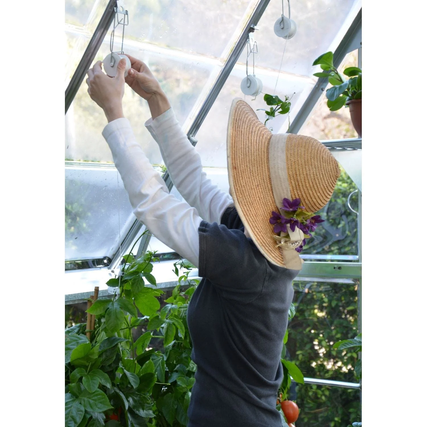 Palram - Canopia | Trellising Kit Pro for Palram - Canopia Greenhouses - Image 5