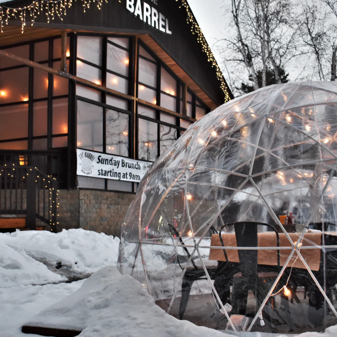 Garden Igloo | Dome, PVC, 11'9"W, 7'2"H - Outdoor Dining, Play Area for Children, Stylish Conservatory, Greenhouse, Gazebo - Image 19