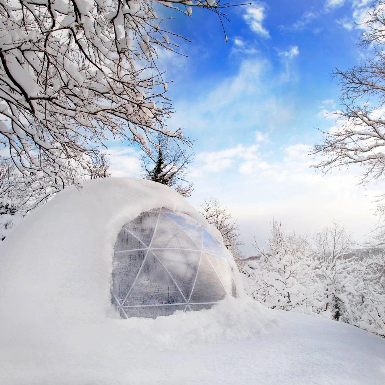 Garden Igloo | Dome, PVC, 11'9"W, 7'2"H - Outdoor Dining, Play Area for Children, Stylish Conservatory, Greenhouse, Gazebo - Image 11