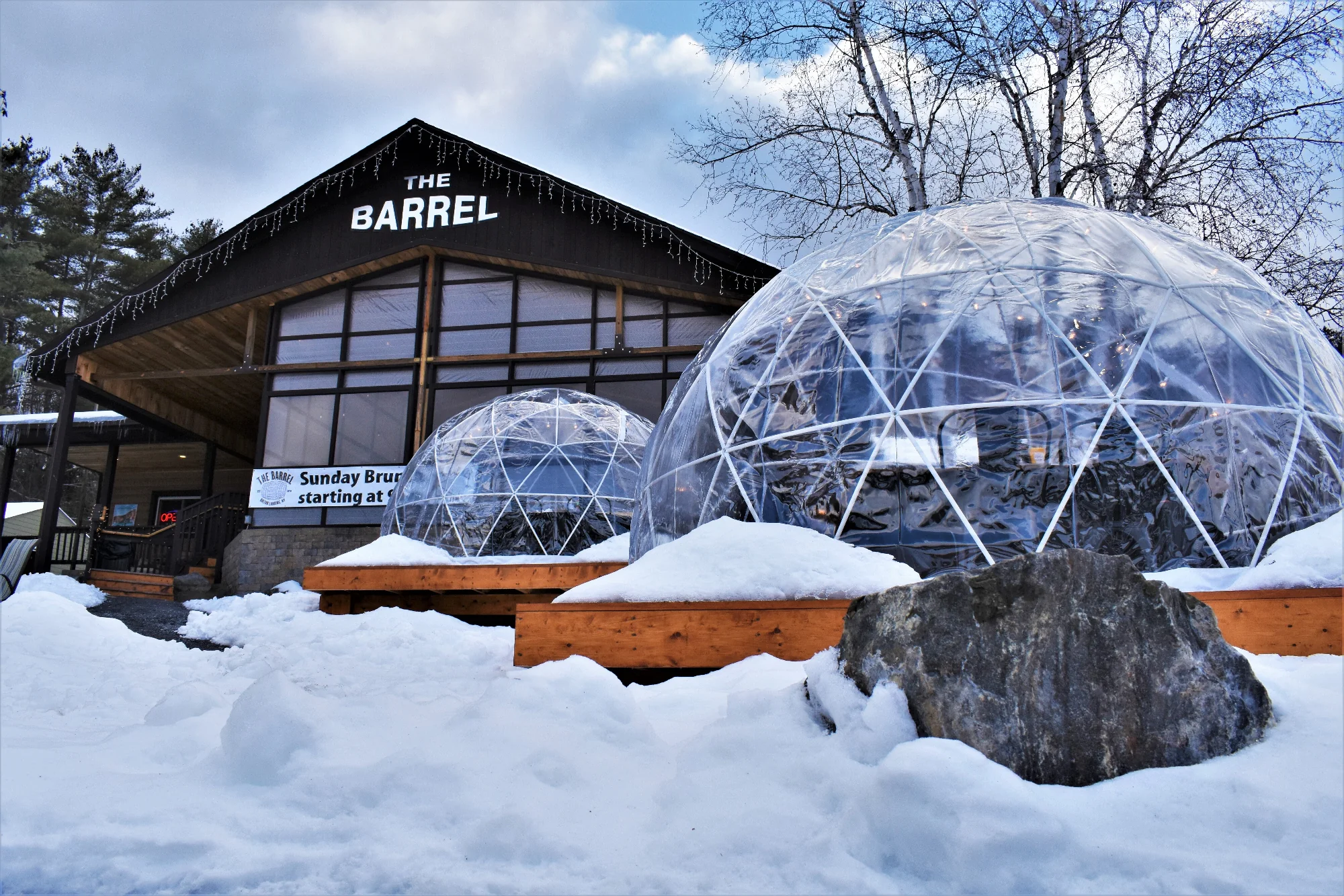 Garden Igloo | Dome Winter Garden Replacement Cover V2 - Image 3