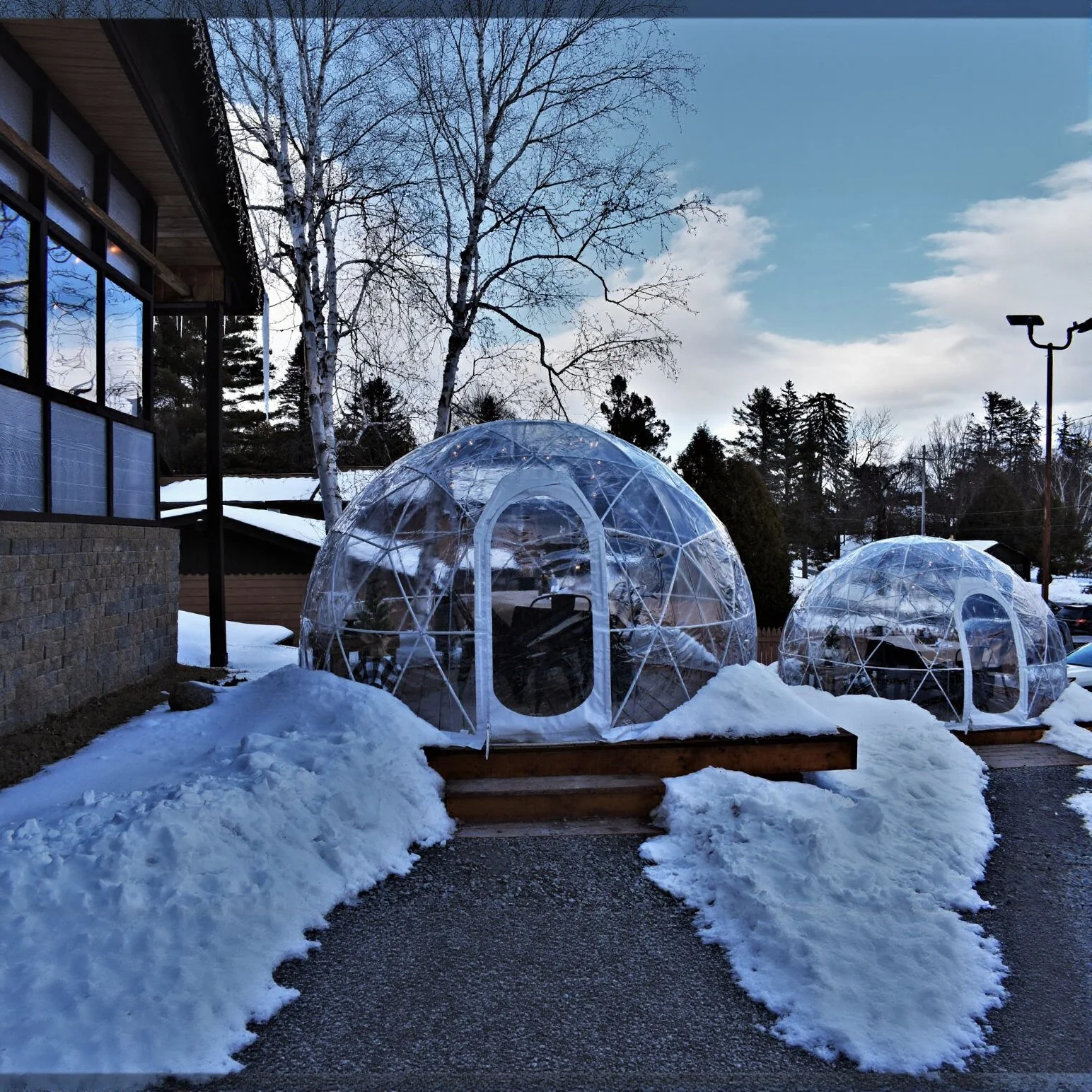 Garden Igloo | Dome Winter Garden Replacement Cover V2 - Image 4