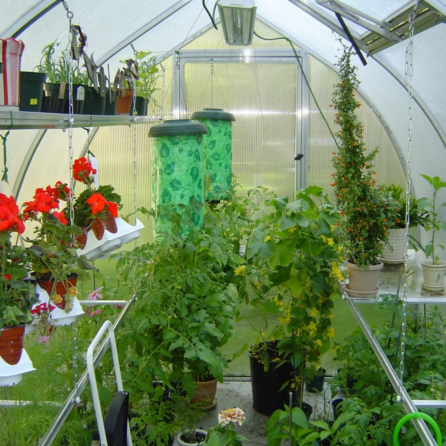 Hoklartherm | 7ft 8in x 10ft 6in x 7ft 1in Riga 3S Hobby Greenhouse Kit With 8mm Twin-wall Polycarbonate Glazing - Image 8