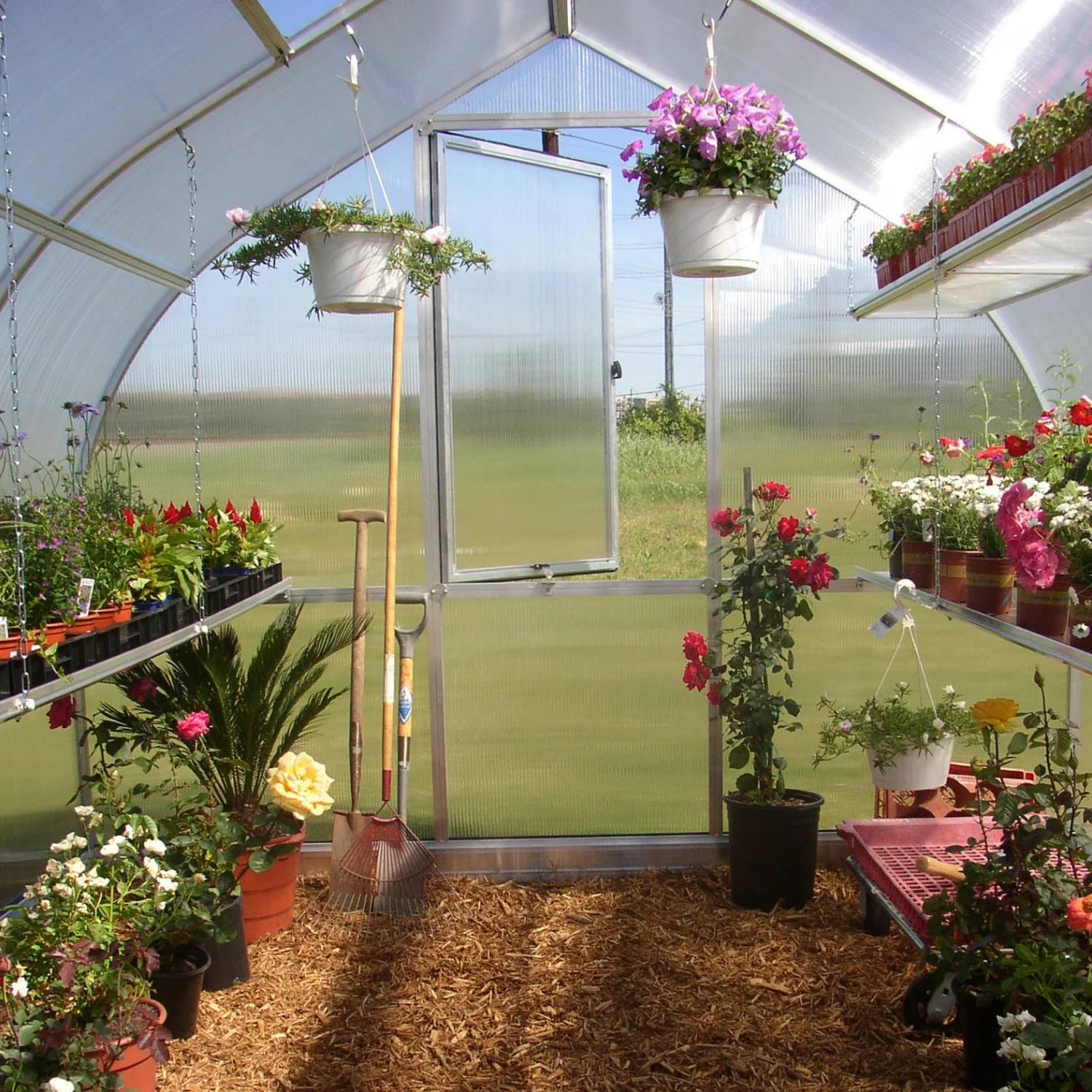 Hoklartherm | 7ft 8in x 14ft x 7ft 1in Riga 4S Hobby Greenhouse Kit With 8mm Twin-wall Polycarbonate Glazing - Image 7