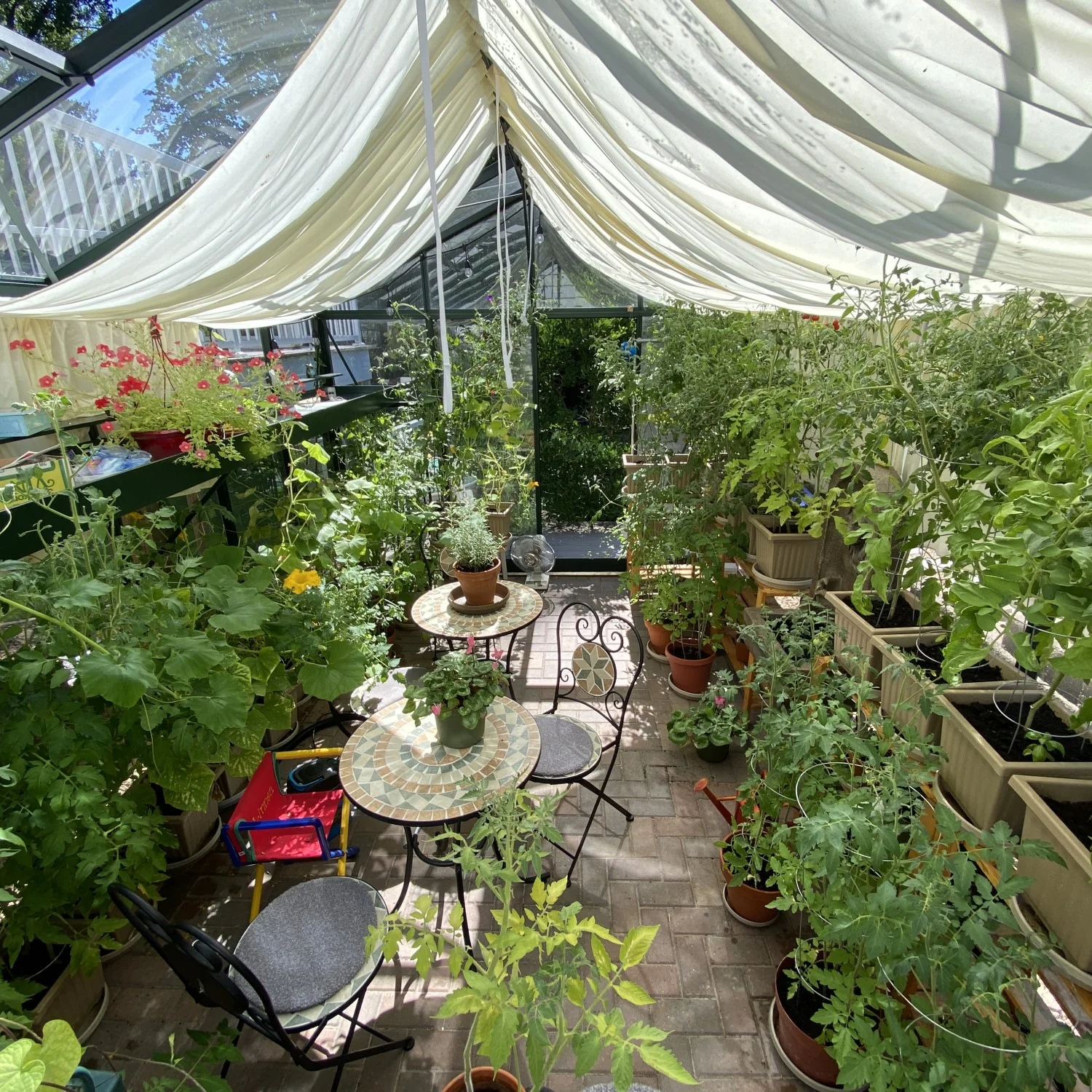 Janssens | 10x20x9 ft Royal Victorian VI 36 Medium Glass Greenhouse Kit With 4mm Tempered Glass Glazing - Image 10