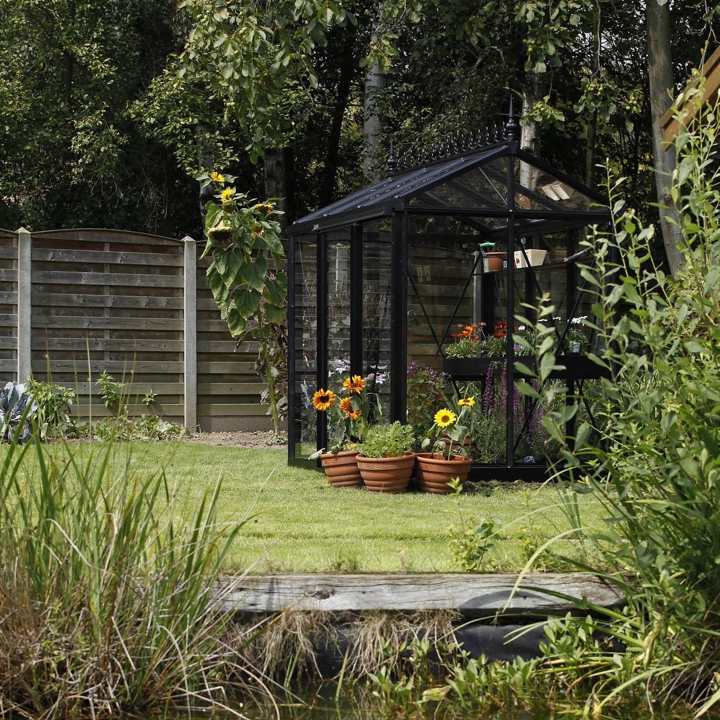 Janssens | 5x8 ft Helios Urban Victorian Glass Greenhouse Kit With 4mm Tempered Glass Glazing - Image 3