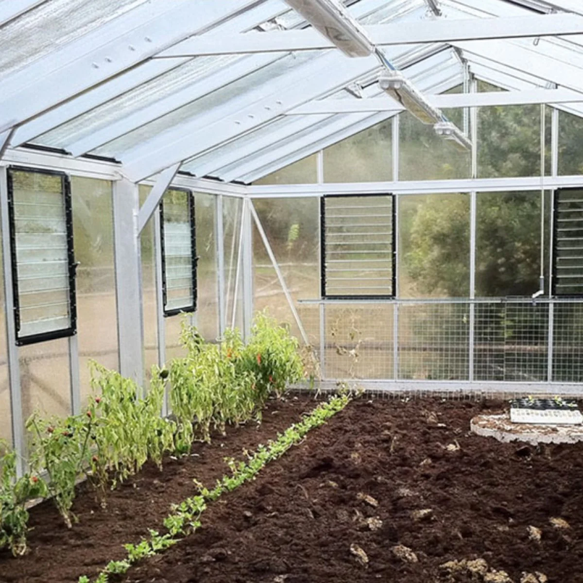 Janssens | Gigant Large Luxury Greenhouse with 4mm Tempered Glass Glazing - Image 22