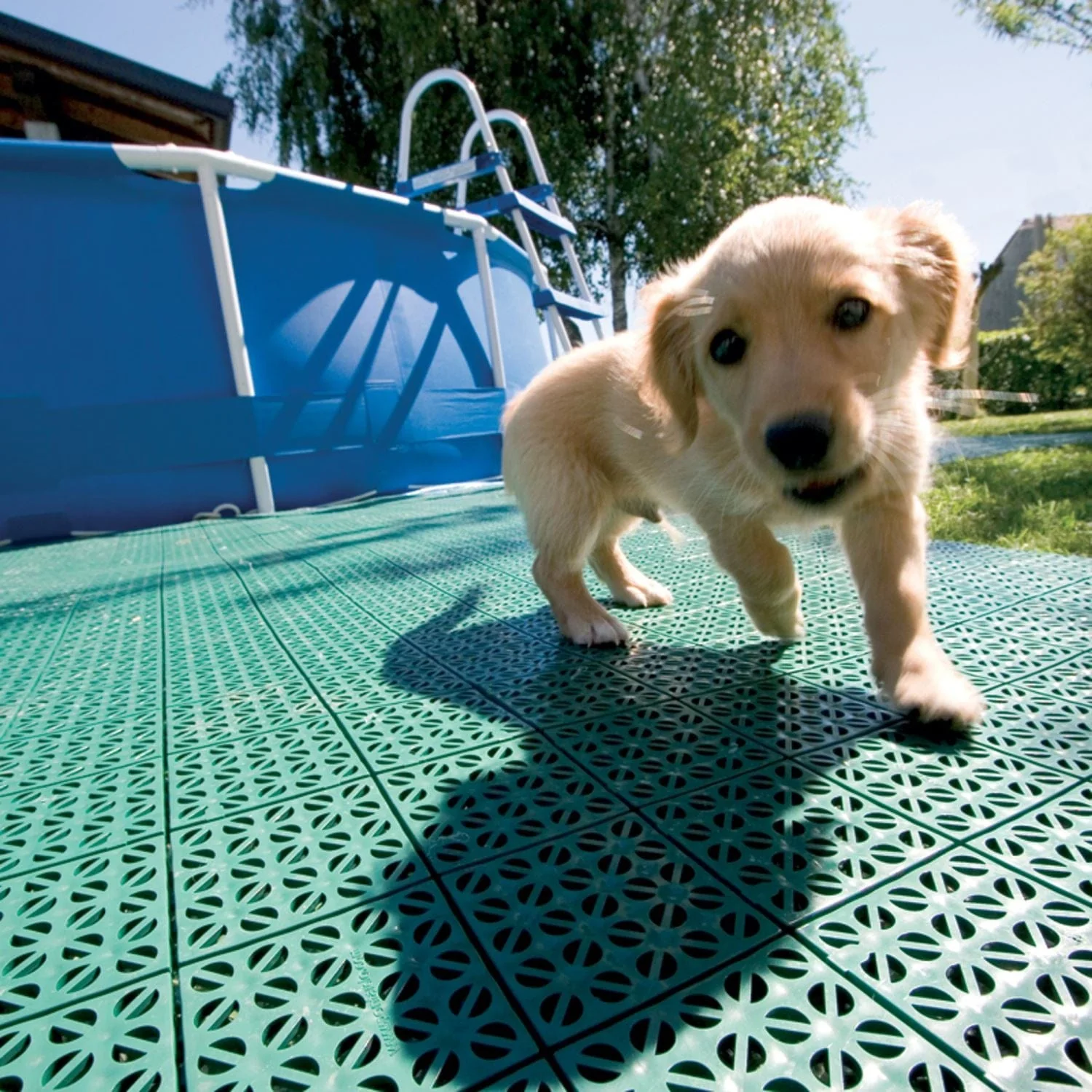 Riverstone | MONT 24' Greenhouse Interlocking Flooring System - 63 Tiles Kit - Image 3