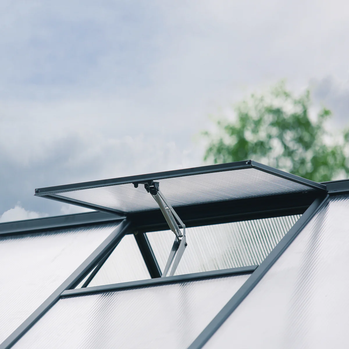 Palram - Canopia | Aria Greenhouse with Polycarbonate Glazing - Image 5