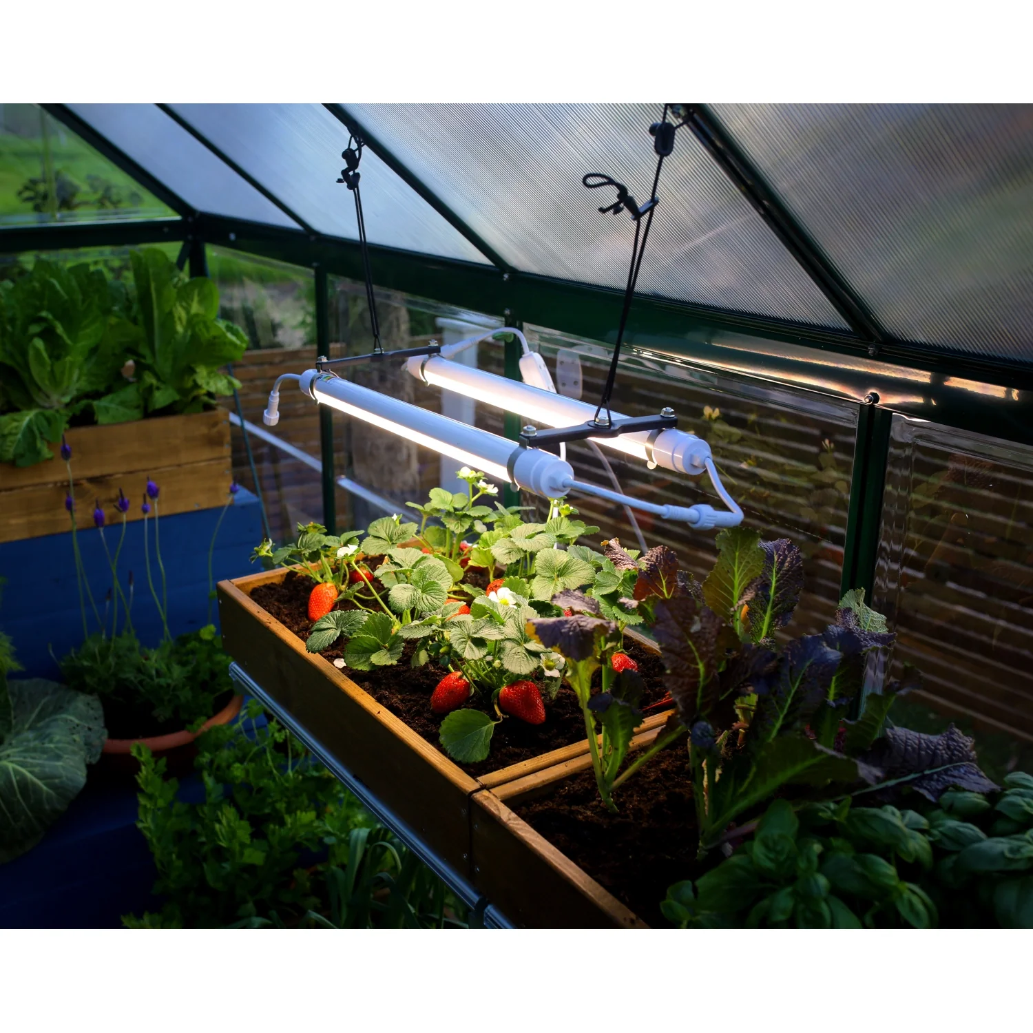 Palram - Canopia | Brighton - LED Grow Light - Image 10