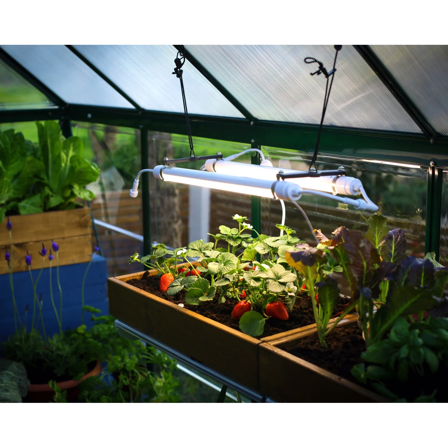Palram - Canopia | Brighton - LED Grow Light - Image 13