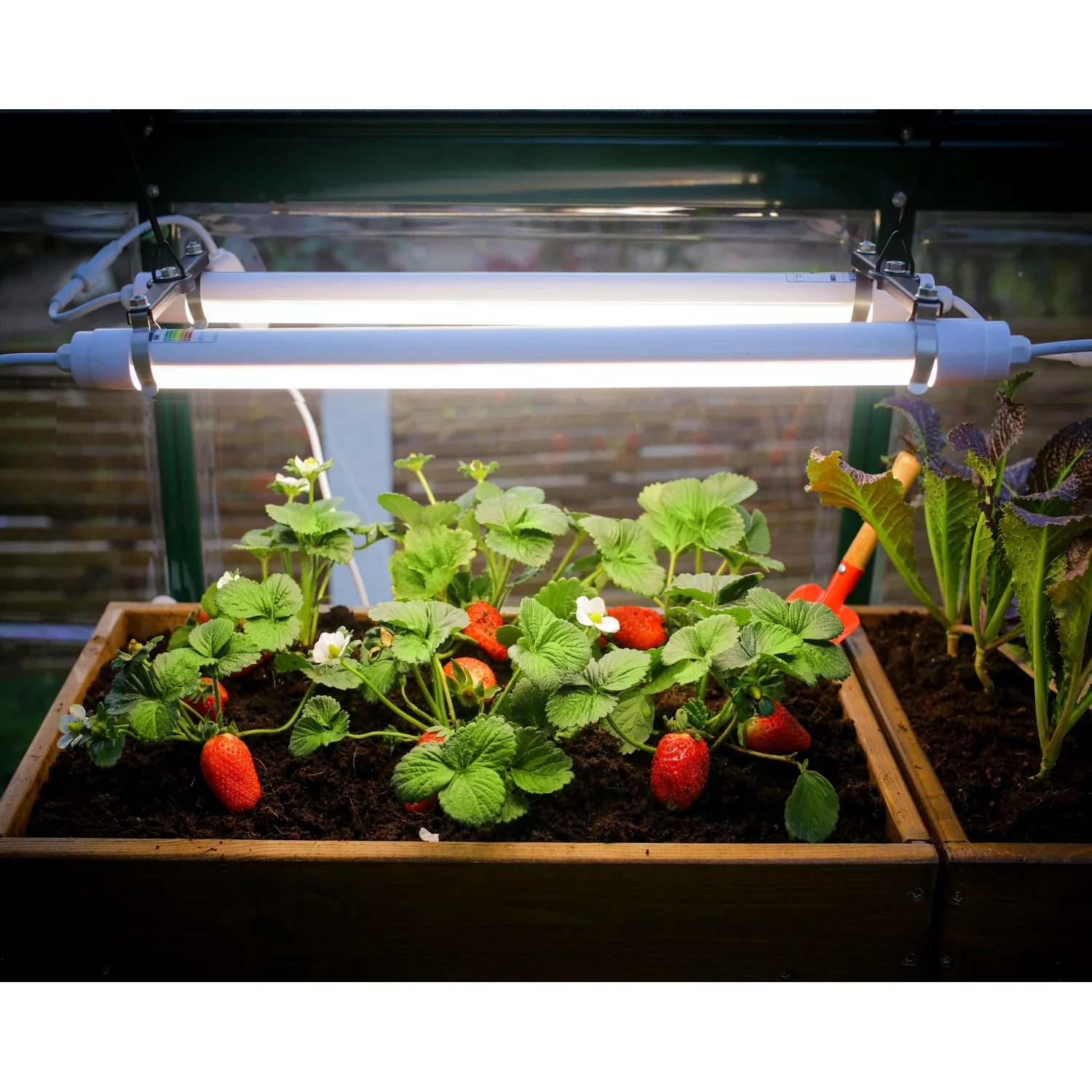 Palram - Canopia | Brighton - LED Grow Light - Image 15