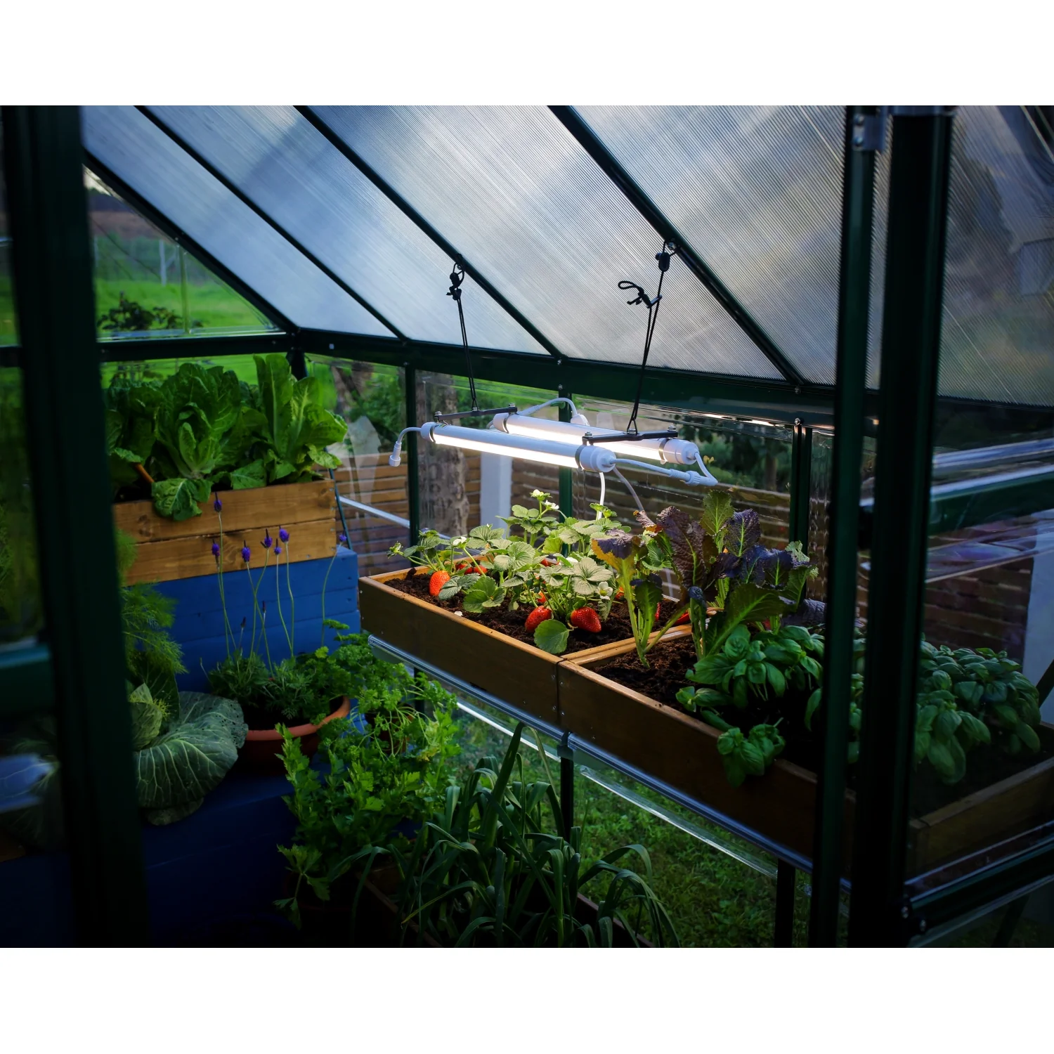 Palram - Canopia | Brighton - LED Grow Light - Image 8