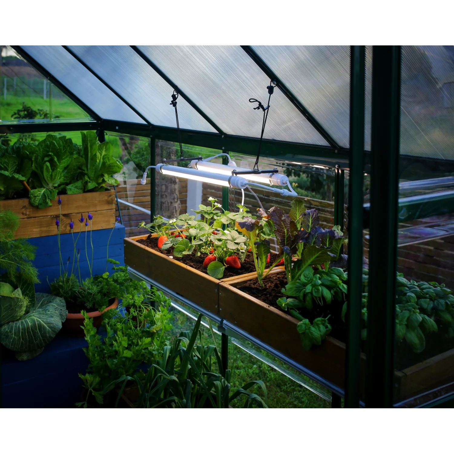 Palram - Canopia | Brighton - LED Grow Light - Image 9