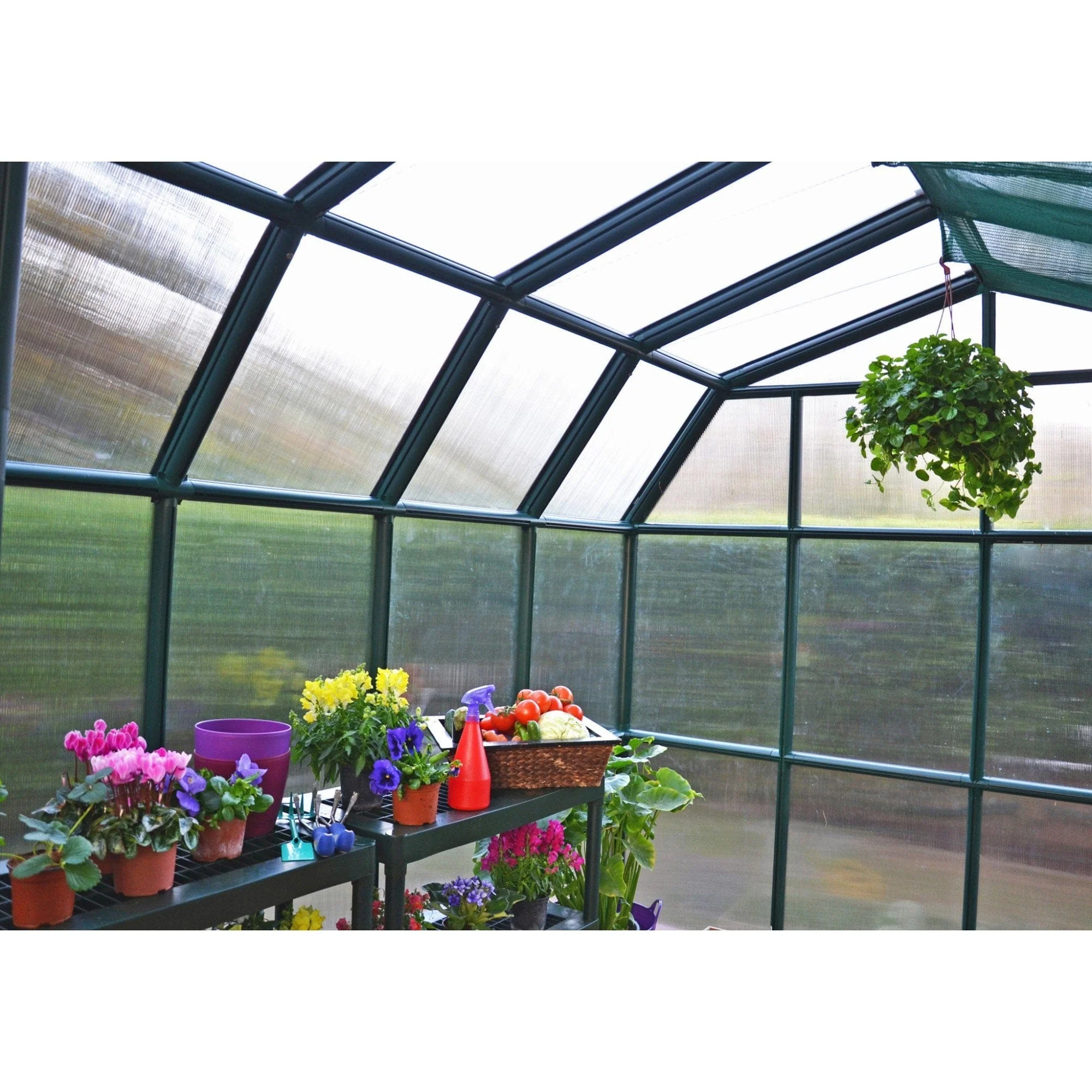 Palram - Canopia | Grand Gardener Greenhouse Kit - 8 ft Wide - Green - 6mm Twin-wall Polycarbonate Glazing - Image 5