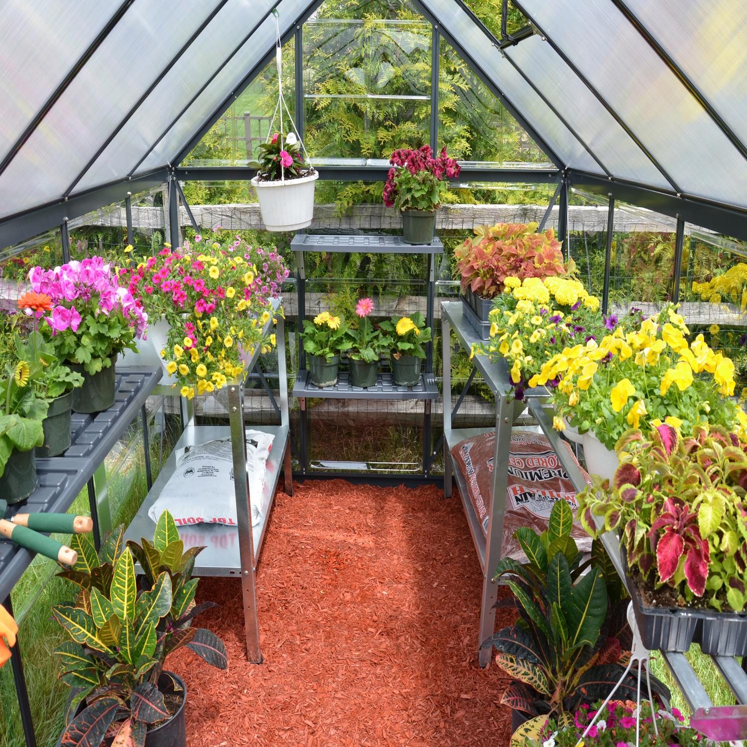 Palram - Canopia | 6x10 ft Hybrid Greenhouse Kit - Gray With 0.8mm Polycarbonate Glazing - Image 5