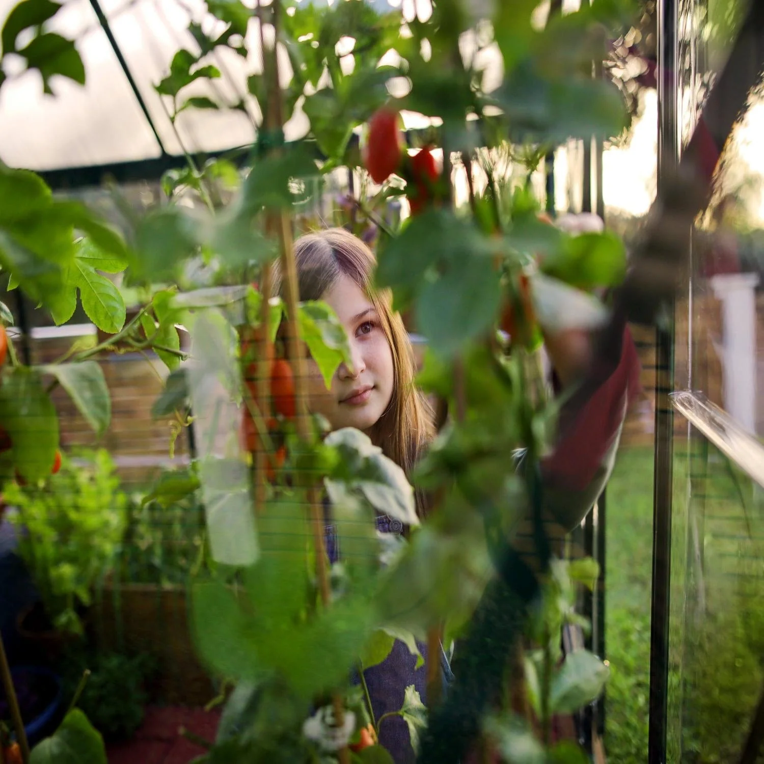 Palram - Canopia | 6x10 ft Hybrid Greenhouse Kit - Green With 0.8mm Polycarbonate Glazing - Image 15