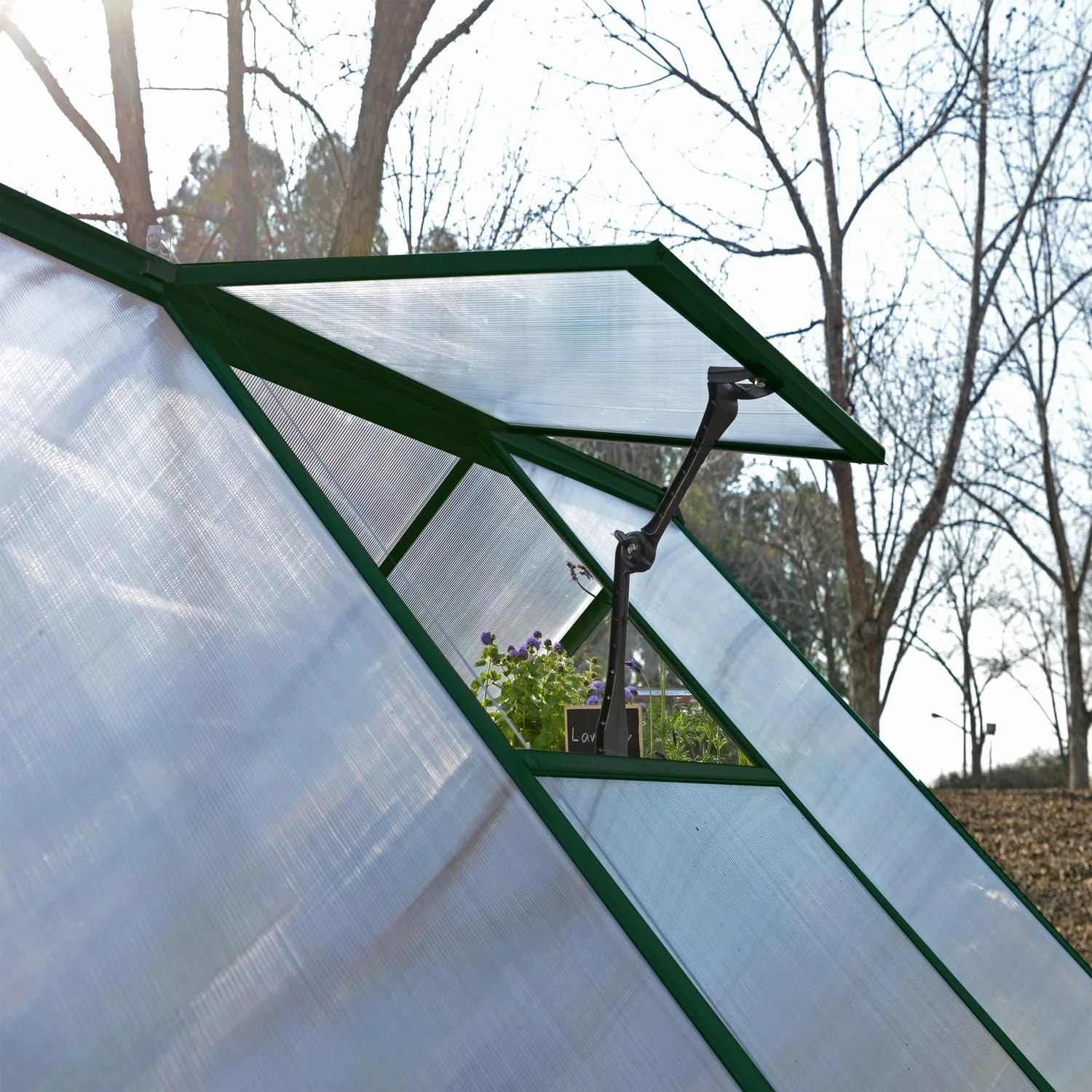 Palram - Canopia | 6x10 ft Hybrid Greenhouse Kit - Green With 0.8mm Polycarbonate Glazing - Image 19