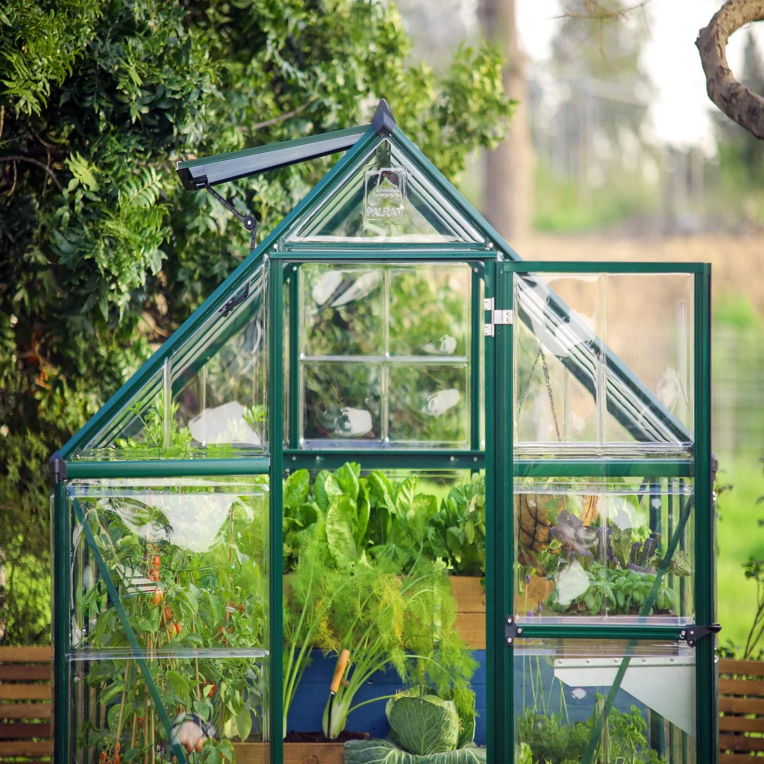 Palram - Canopia | 6x10 ft Hybrid Greenhouse Kit - Green With 0.8mm Polycarbonate Glazing - Image 5