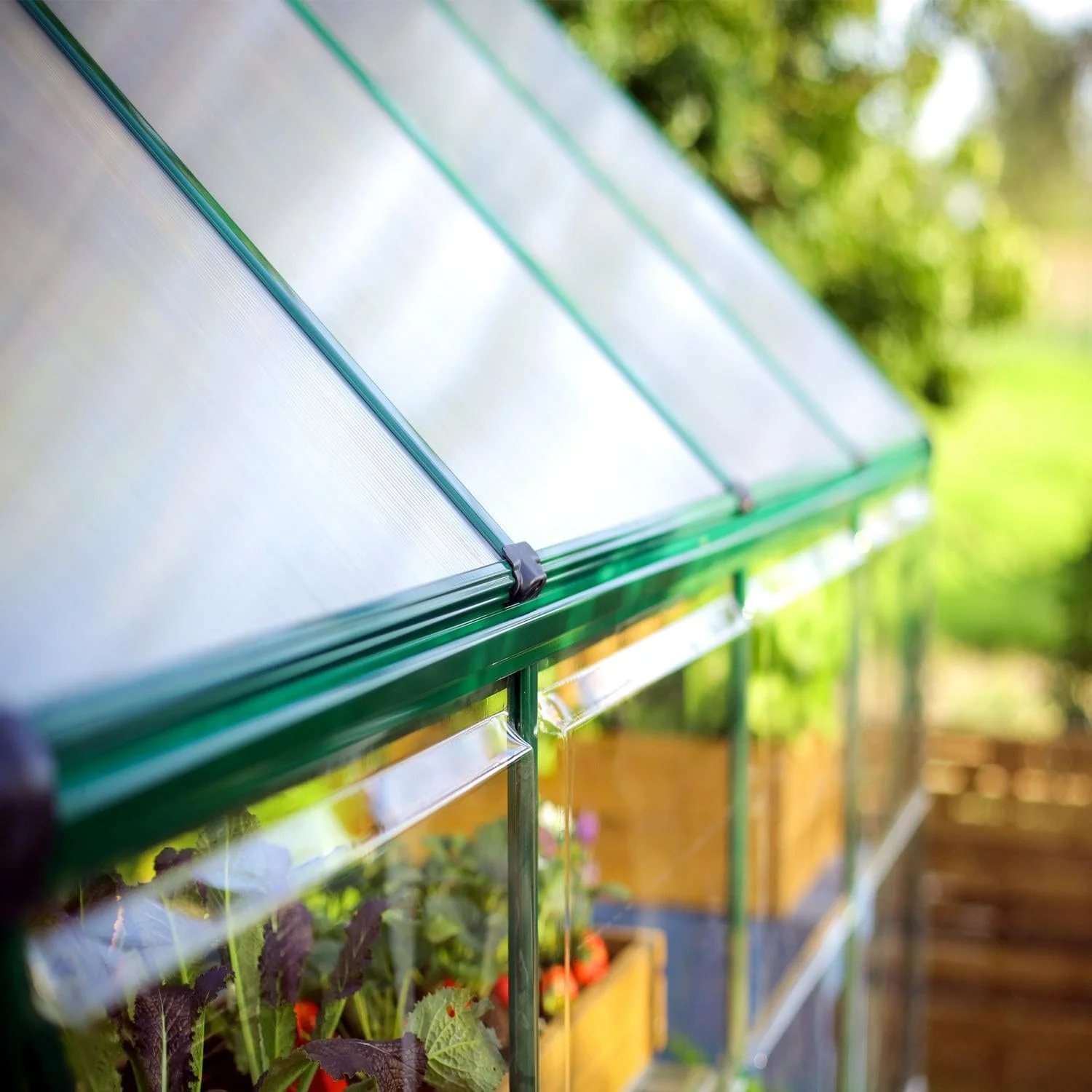 Palram - Canopia | 6x10 ft Hybrid Greenhouse Kit - Green With 0.8mm Polycarbonate Glazing - Image 6