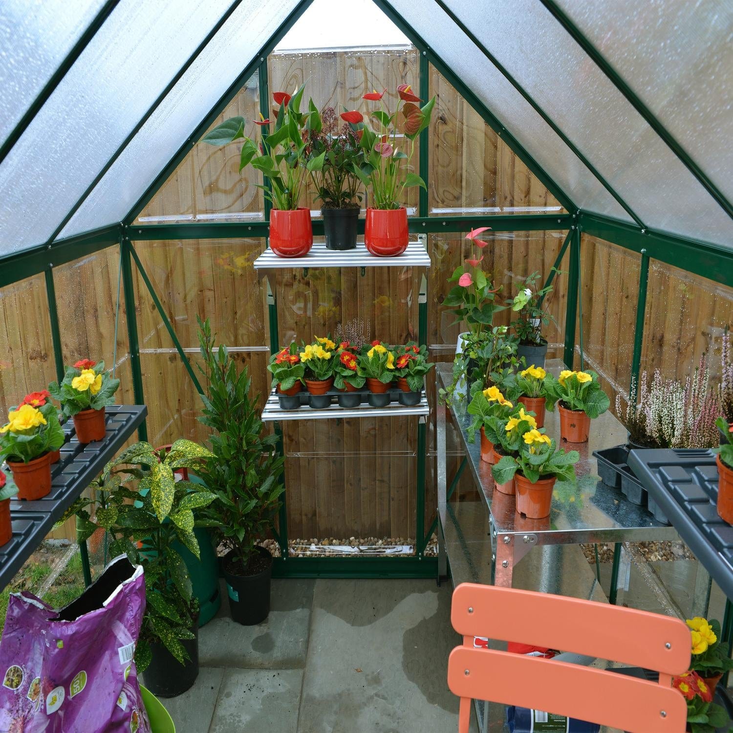 Palram - Canopia | 6x10 ft Hybrid Greenhouse Kit - Green With 0.8mm Polycarbonate Glazing - Image 7