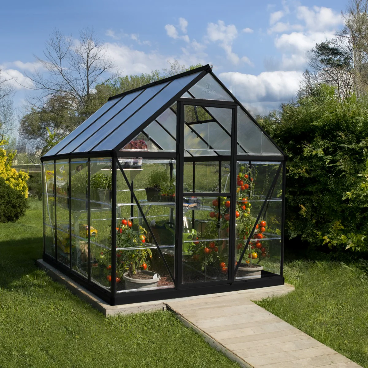 Palram - Canopia | Hybrid 6x8 ft - Black Frame With Polycarbonate Hybrid Panels - Image 2