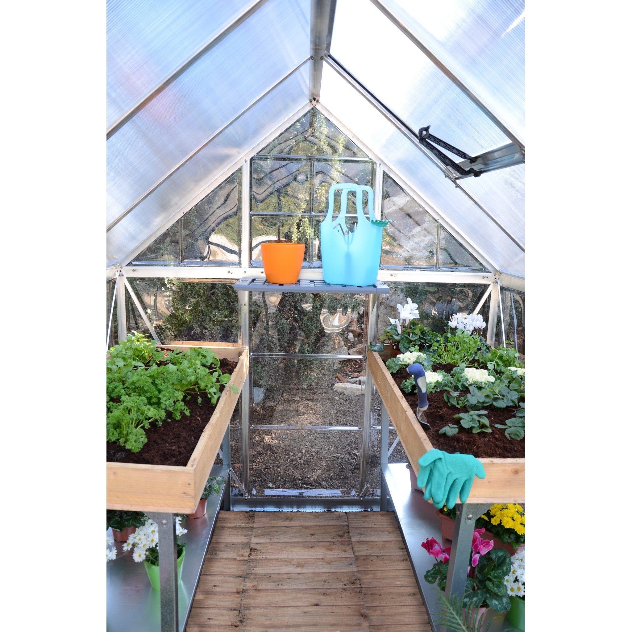 Palram - Canopia | 6x4 ft Hybrid Greenhouse Kit - Green With 0.8mm Polycarbonate Glazing - Image 2