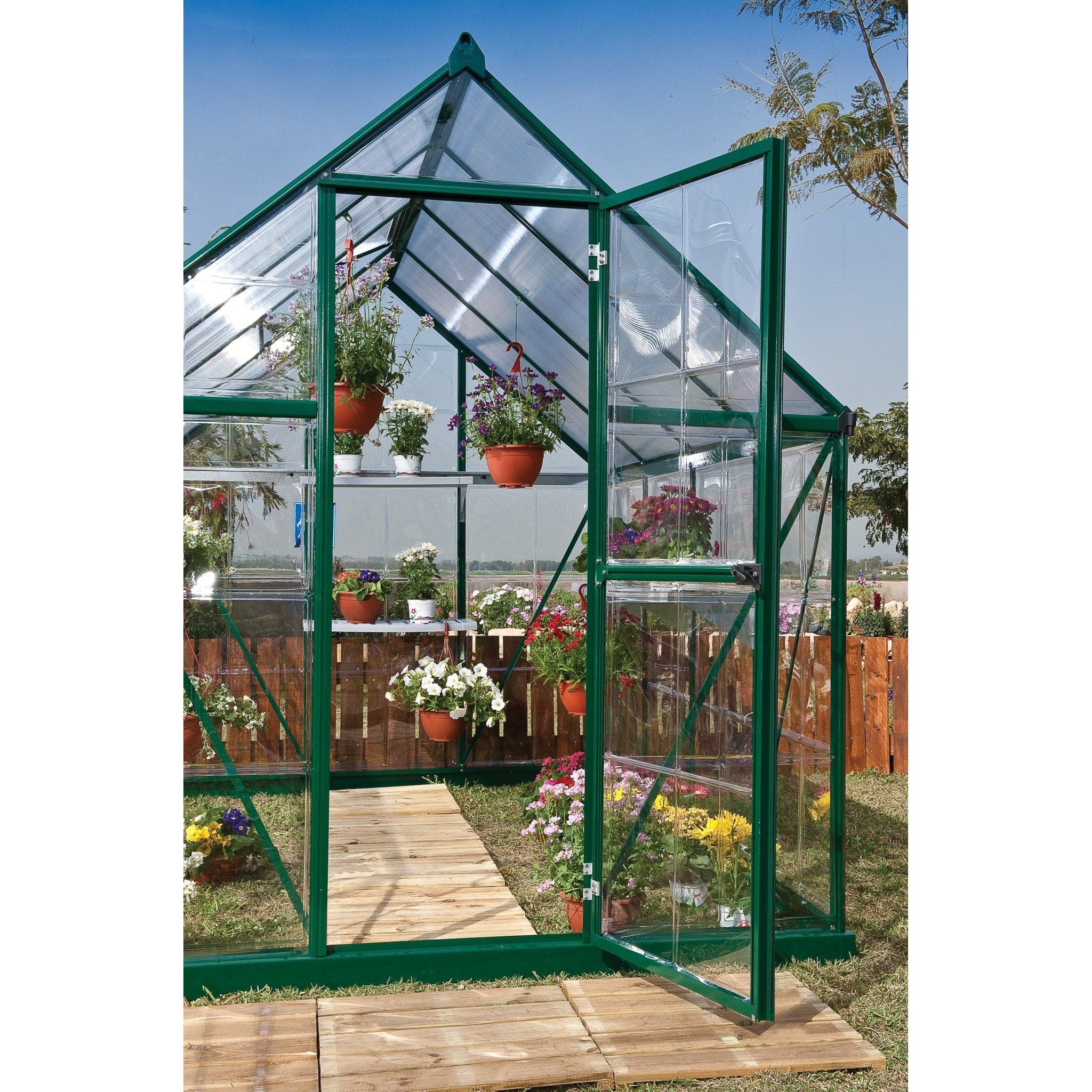 Palram - Canopia | 6x6 ft Hybrid Greenhouse Kit - Green With 0.8mm Polycarbonate Glazing - Image 2