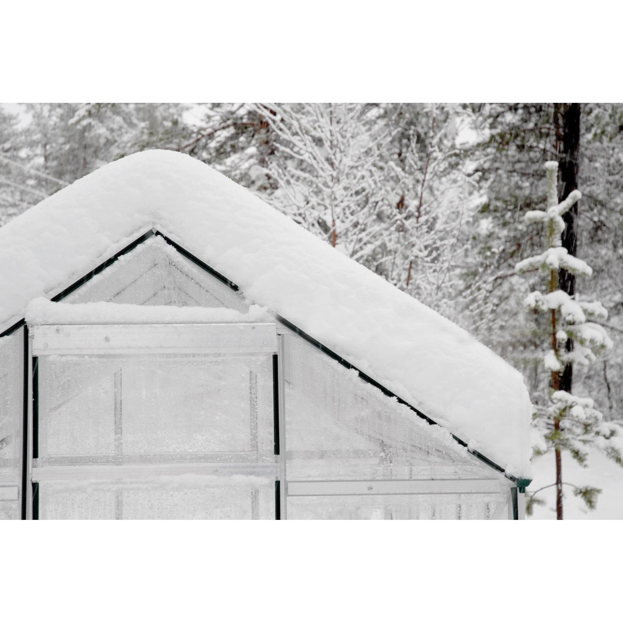 Palram - Canopia | 6x6 ft Hybrid Greenhouse Kit - Green With 0.8mm Polycarbonate Glazing - Image 9